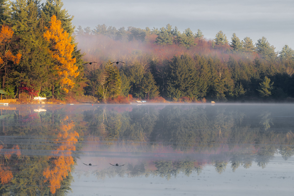 11.13.2021 - Day 623 - Hammond Pond, Goshen MA