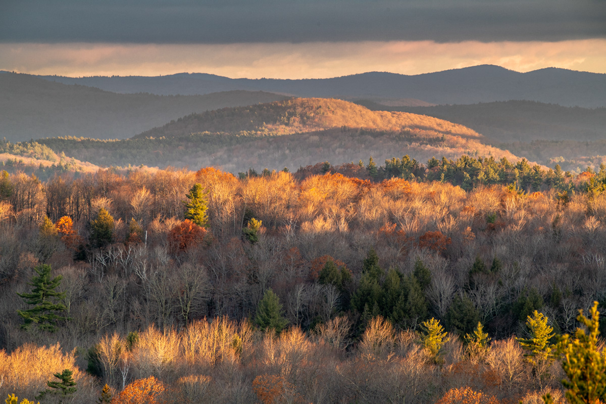 11.14.2021 - Day 624