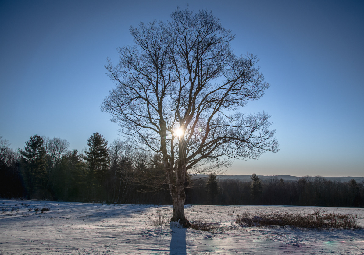03.04.2022 - Day 734 - Plainfield, MA