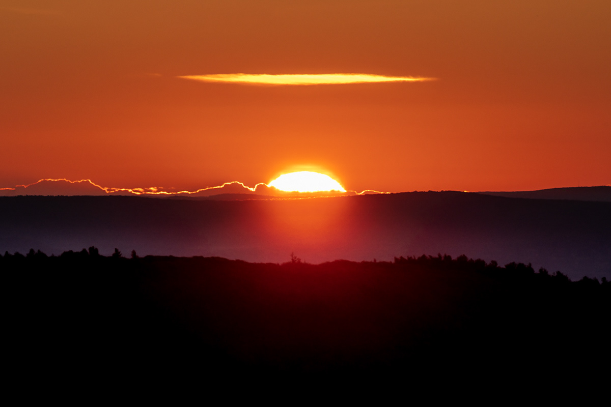 11.02.2021 - Day 612