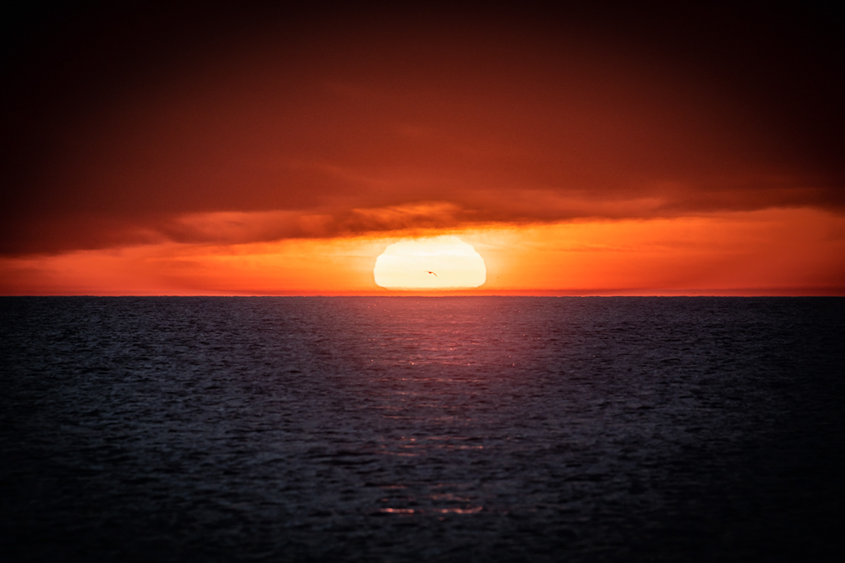 04.22.2022 - Day 783