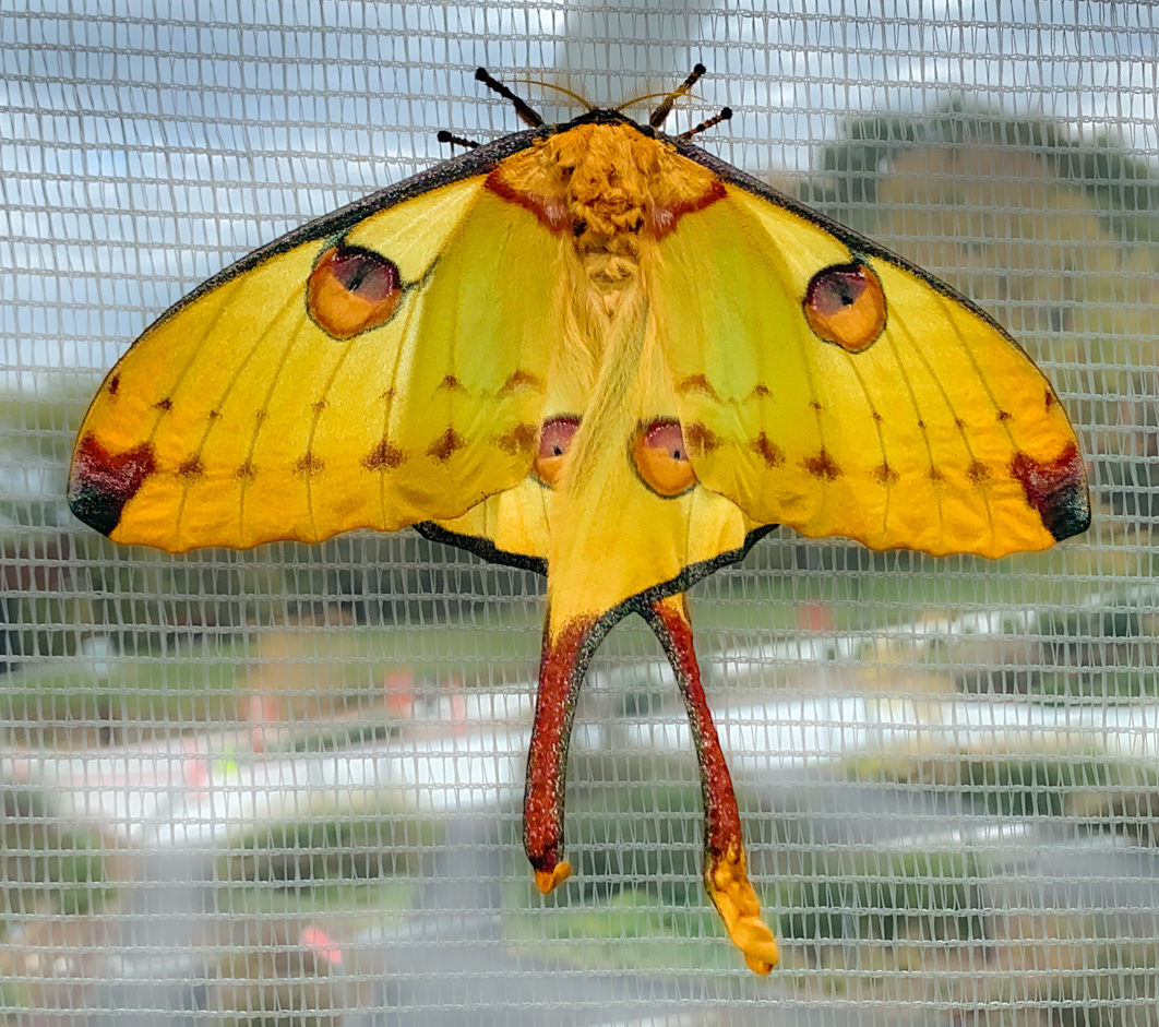 Montréal Insectarium - Montréal, Quebec CA