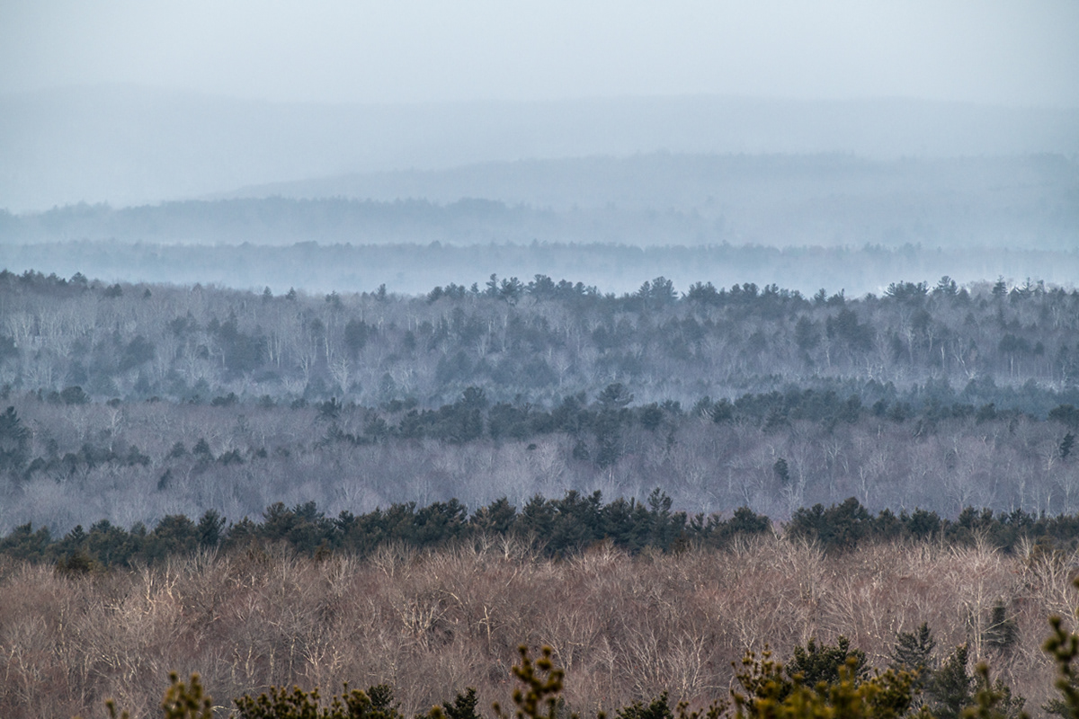 11.27.2021 - Day 637