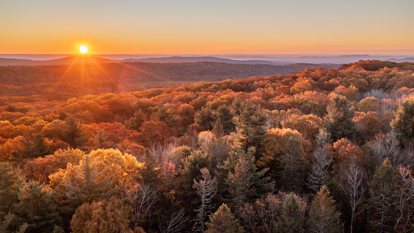 11.03.2021 - Day 613