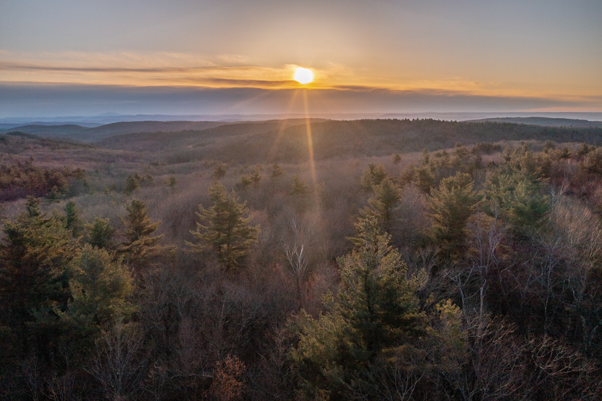 04.30.2022 - Day 791