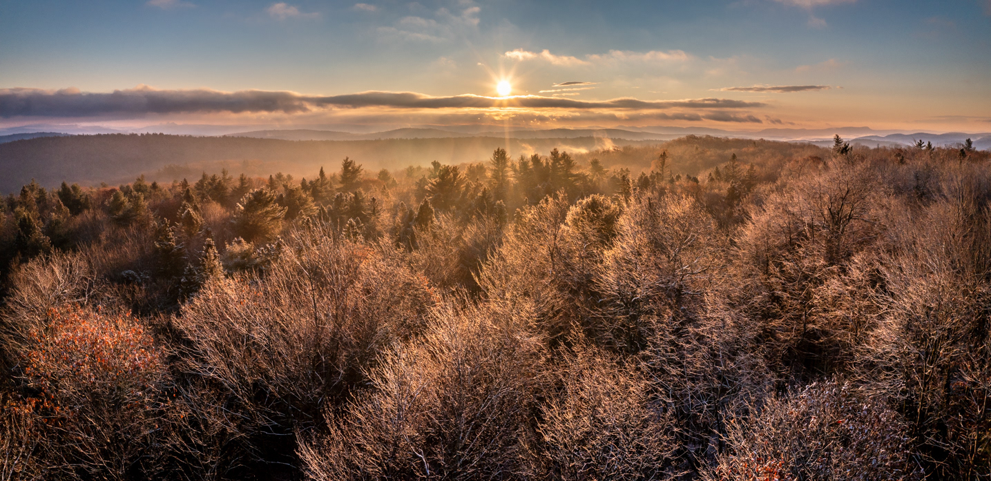 11.15.2021 - Day 626