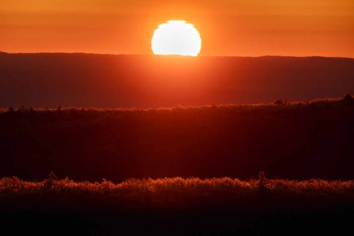 12.20.2021 - Day 660