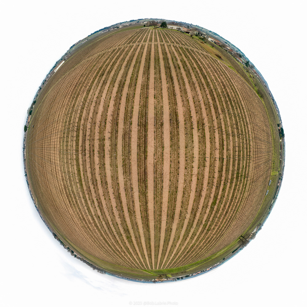 Vineyard view from above - St. Émilion, France