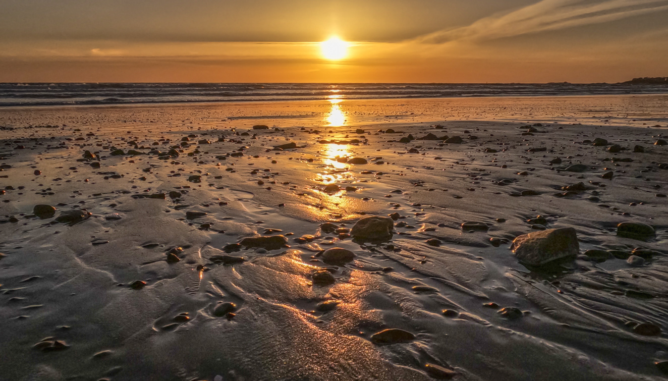 04.21.2022 - Day 782