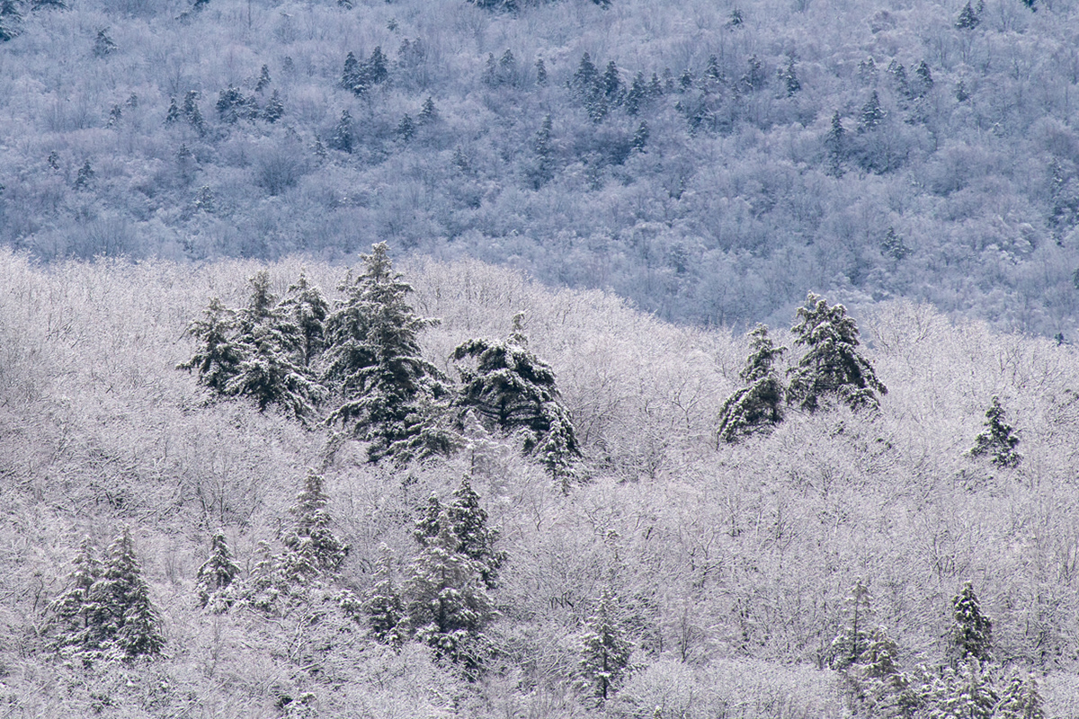 01.21.2023 - Day 1057 - Goshen, MA