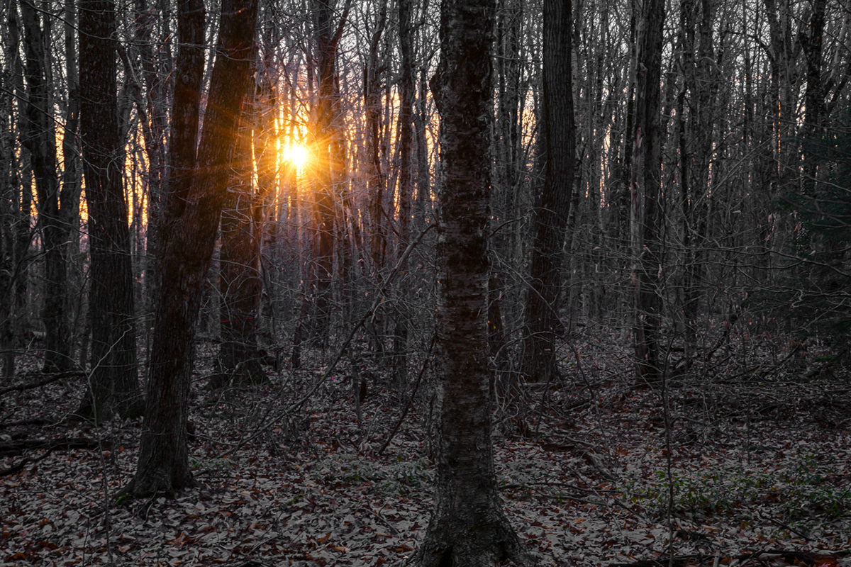 12.17.2021 - Day 657