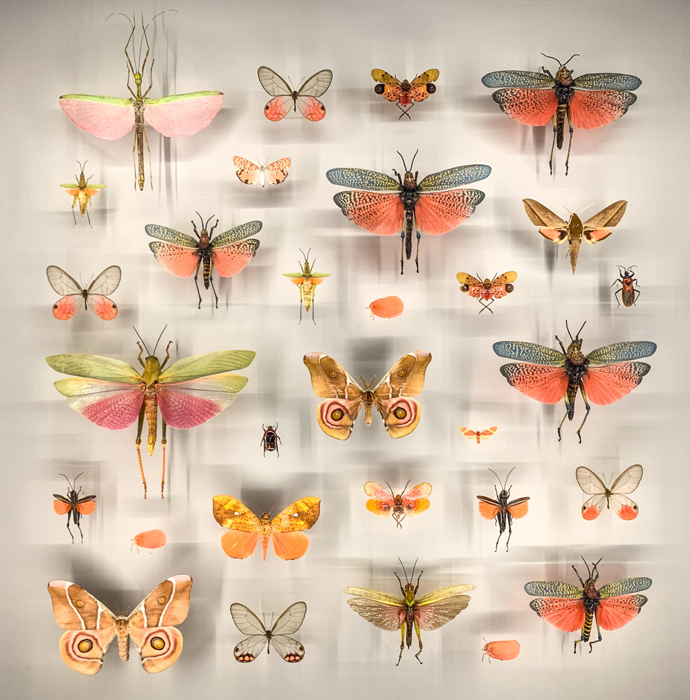 Montréal Insectarium - Montréal, Quebec CA