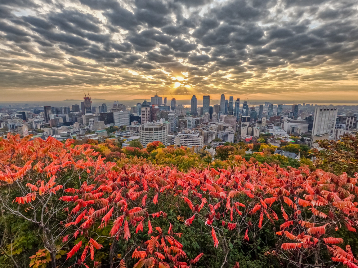 Sunrise from Kondiaronk Belvedere on Mont Royal - Montreal, Quebec CA