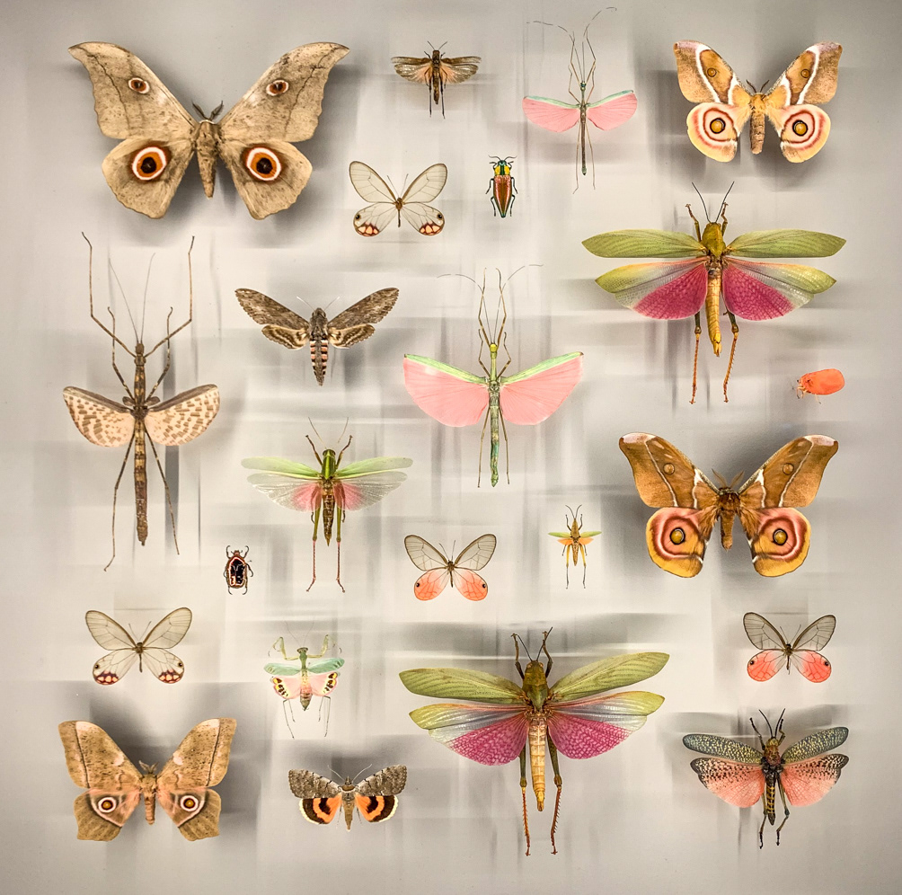 Montréal Insectarium - Montréal, Quebec CA