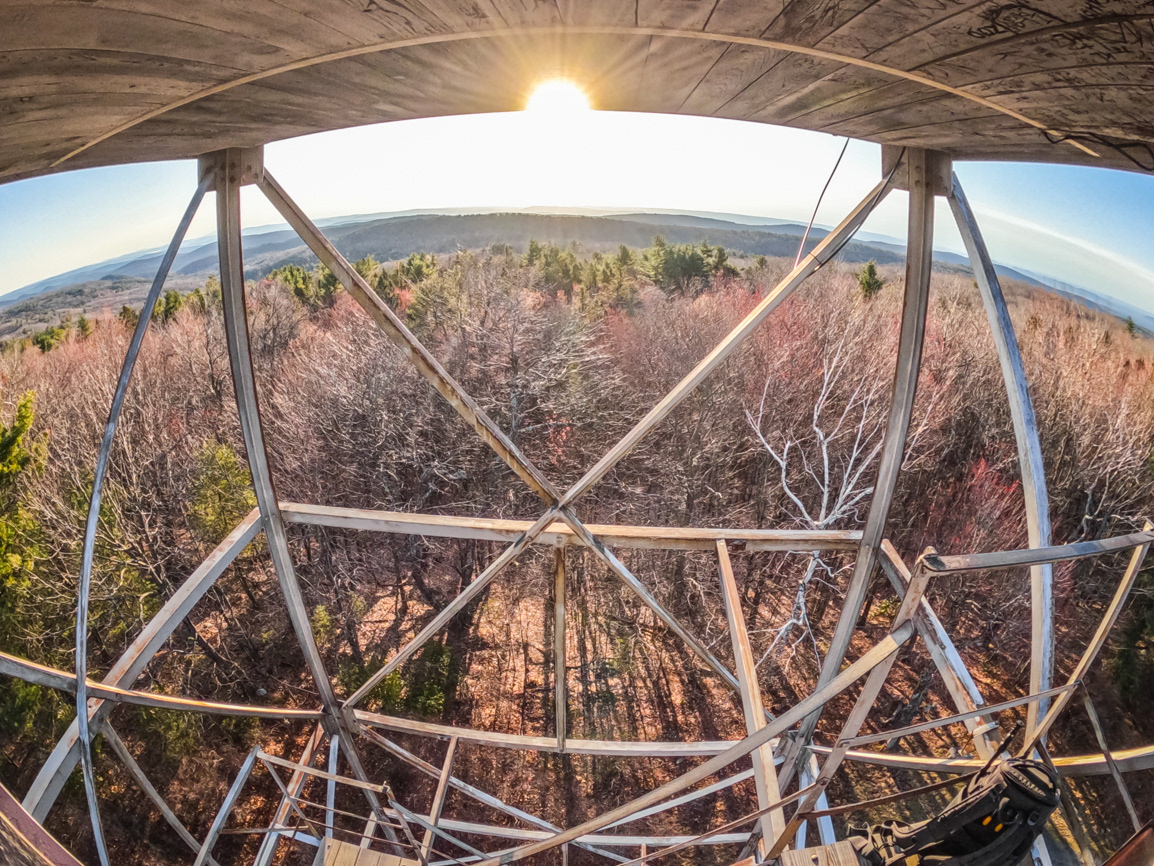 04.15.2022 - Day 776