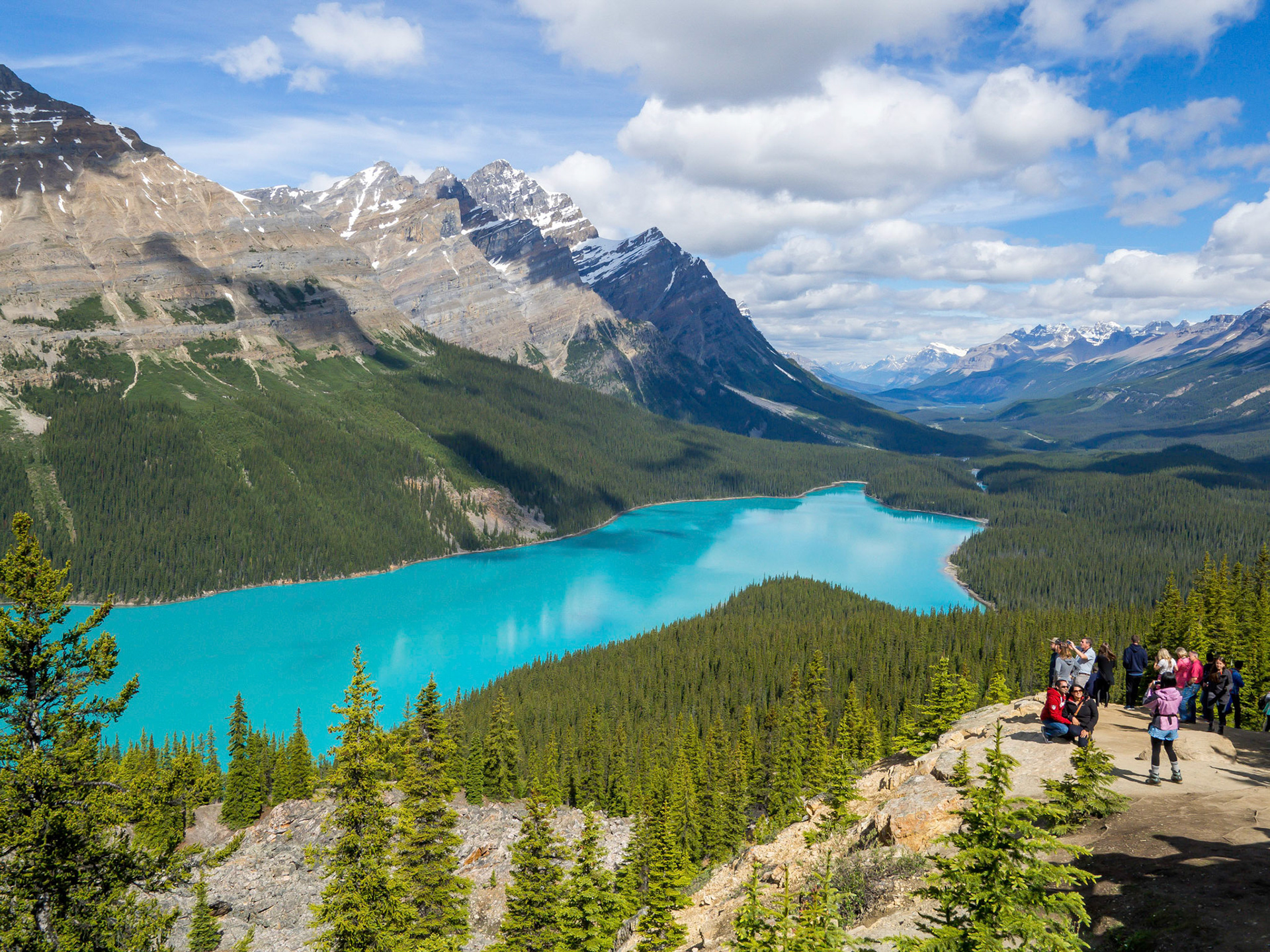 Peyto Glacier, Canada