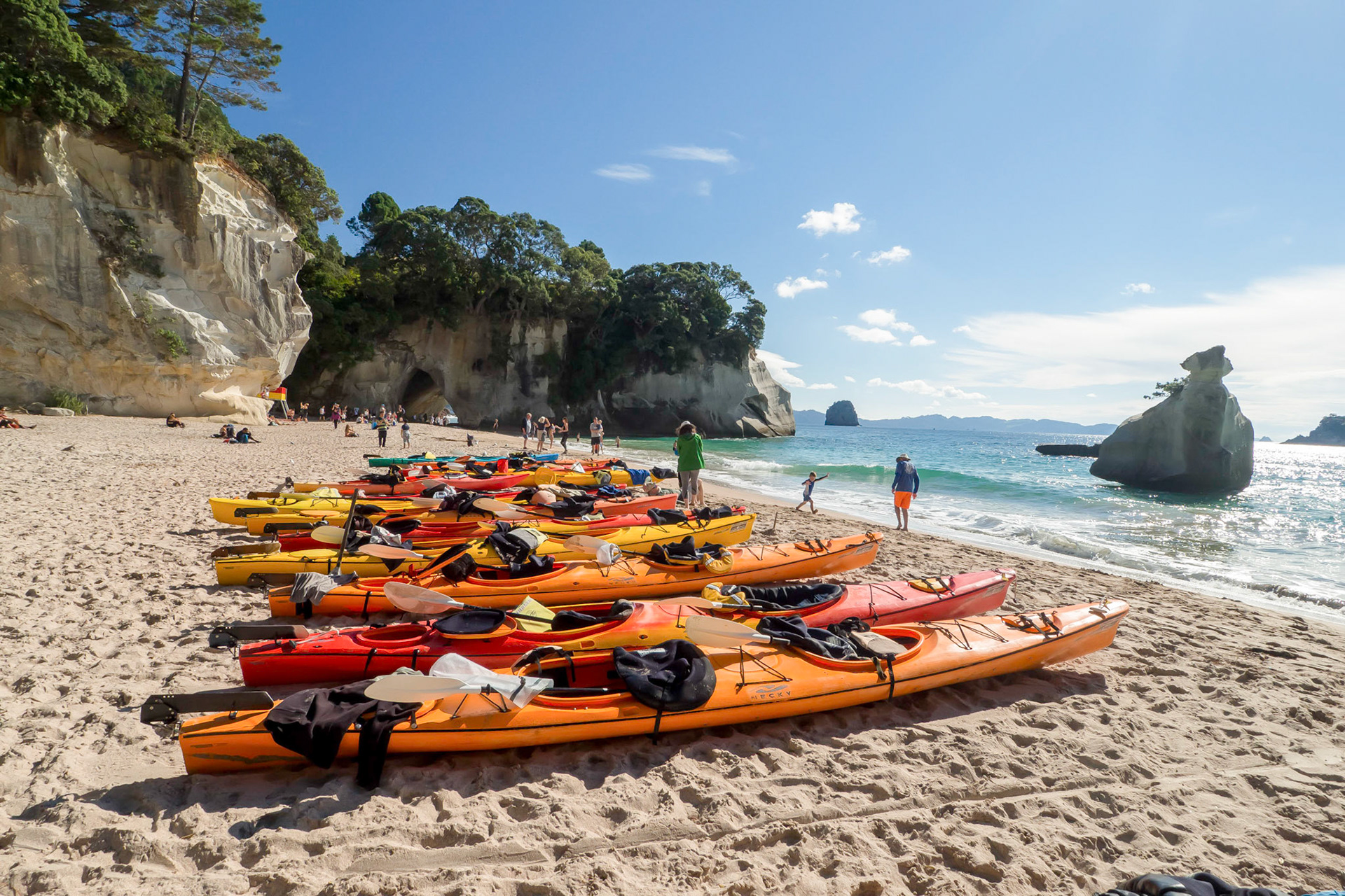 Cathedral Bay NZ
