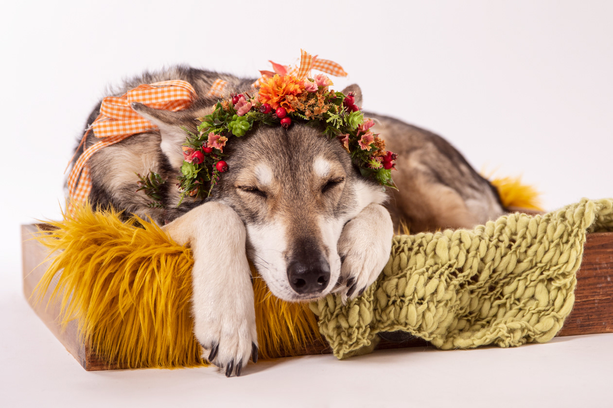 Ghost decorated by StrauchElch