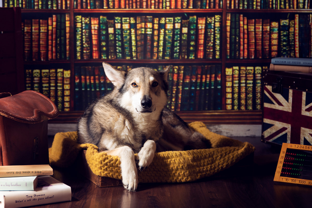 schools out with Ghost