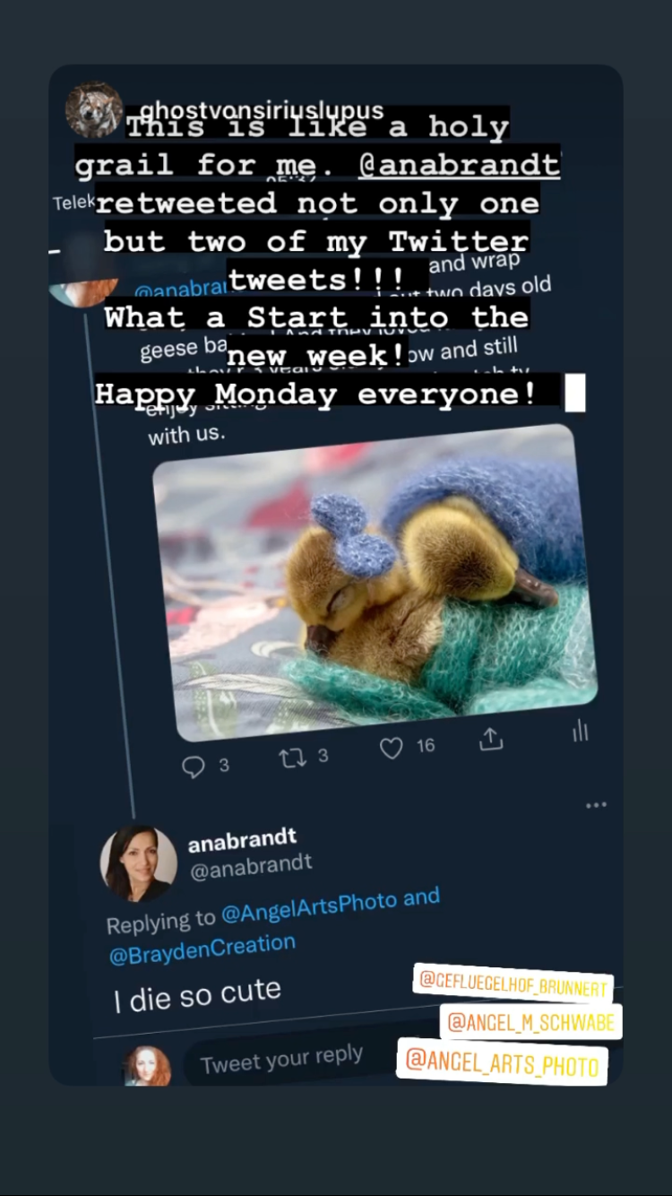 my mentor from USA @Ana_Brandt 