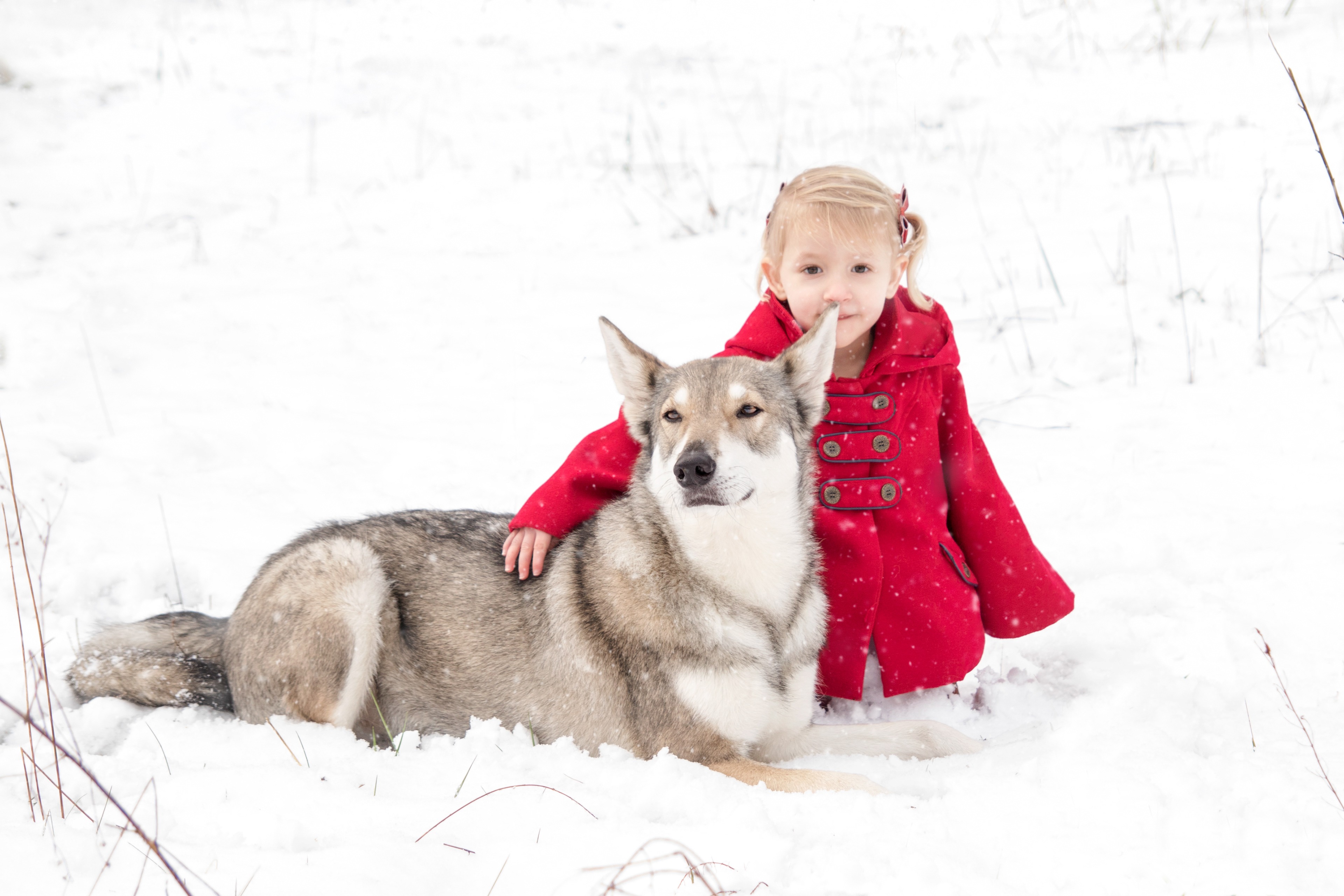 red riding in the snow with Ghost