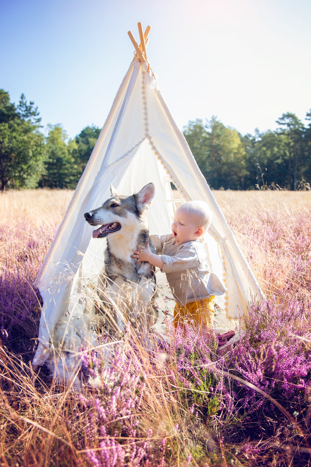 Ghost and Maxim in the heather 