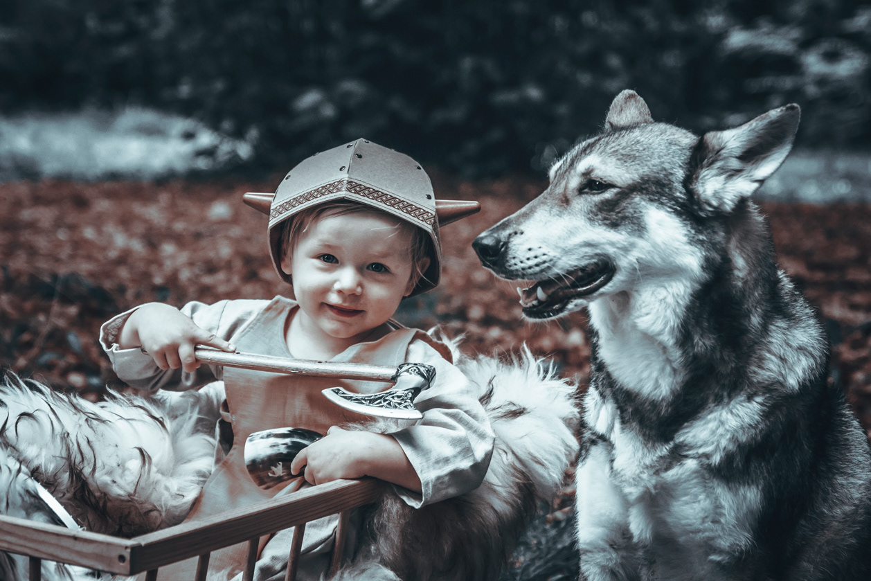 Angel Arts und Ghost von Sirius Lupus Viking