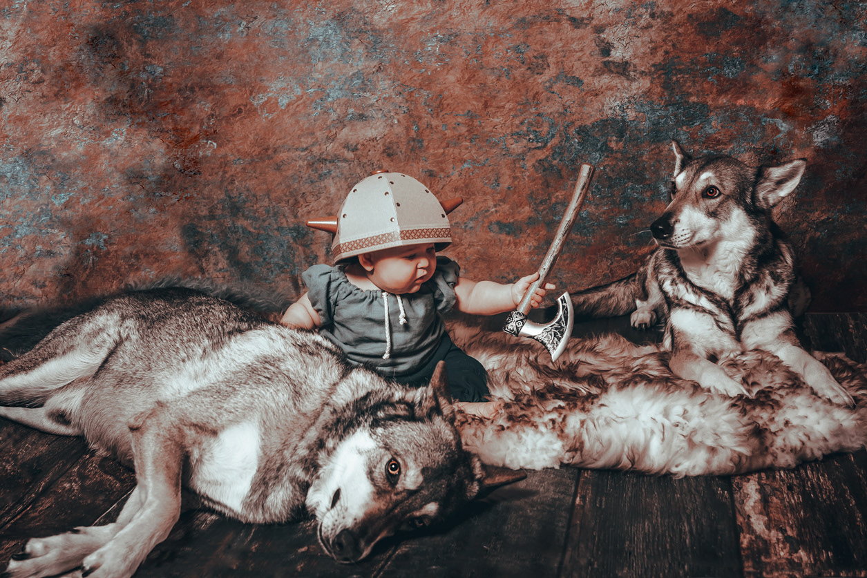 Angel Arts Viking Paderborn