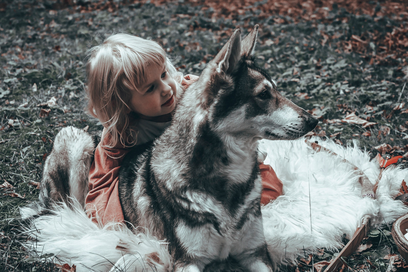 Angel Arts Sennelager