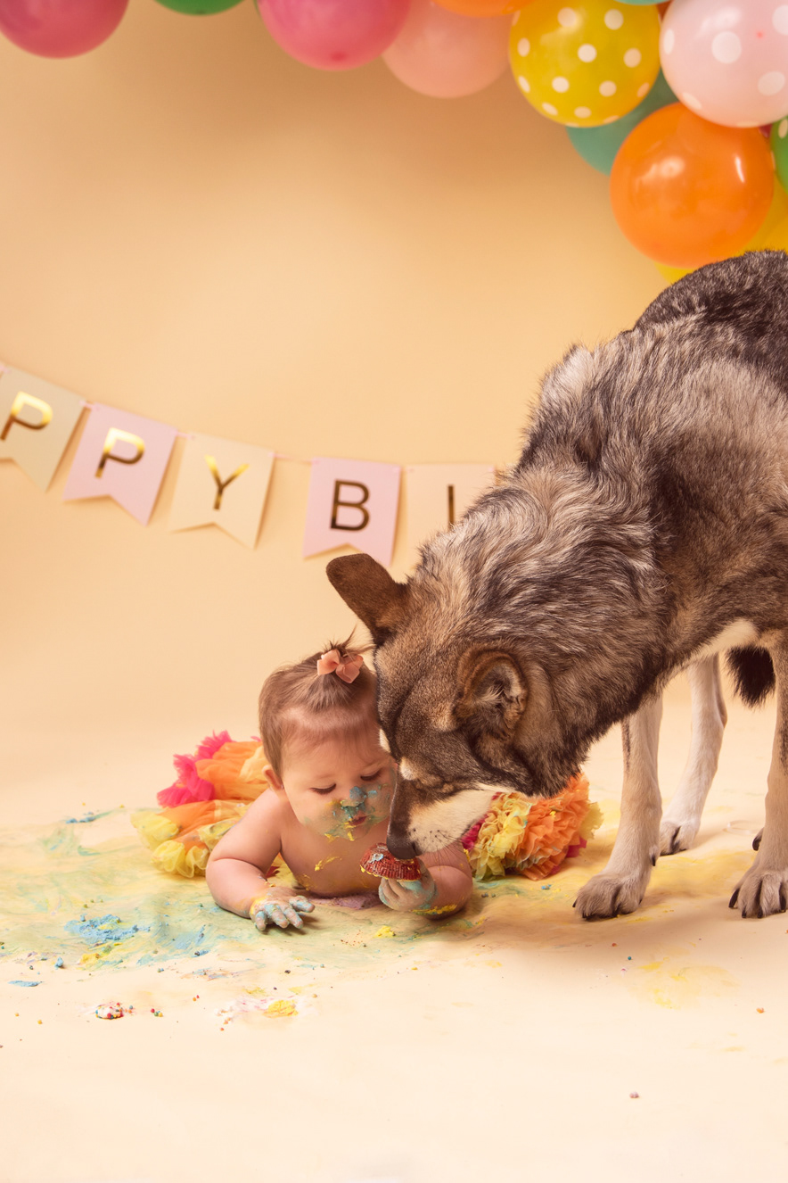 Mara and Floki cakesmash