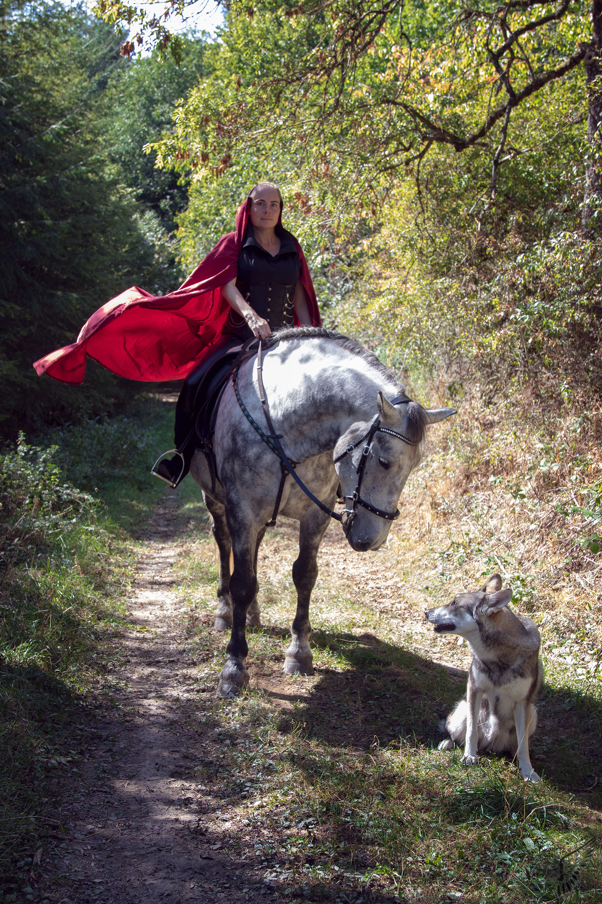 Red Riding is riding 