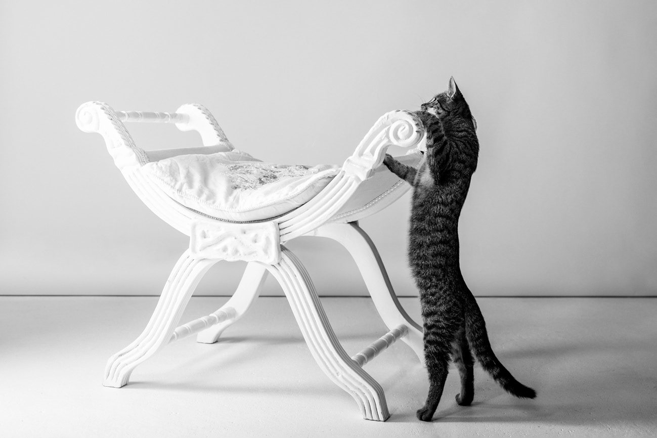 Ylva in black and white