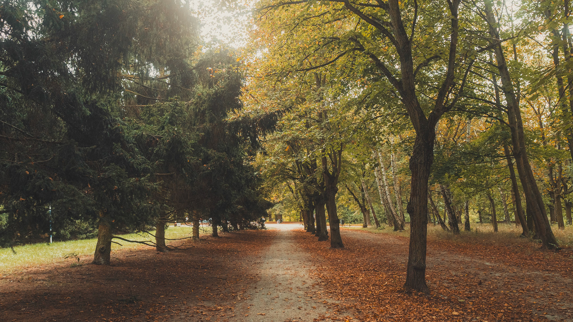 2024-10-02 Bory Park 🌳