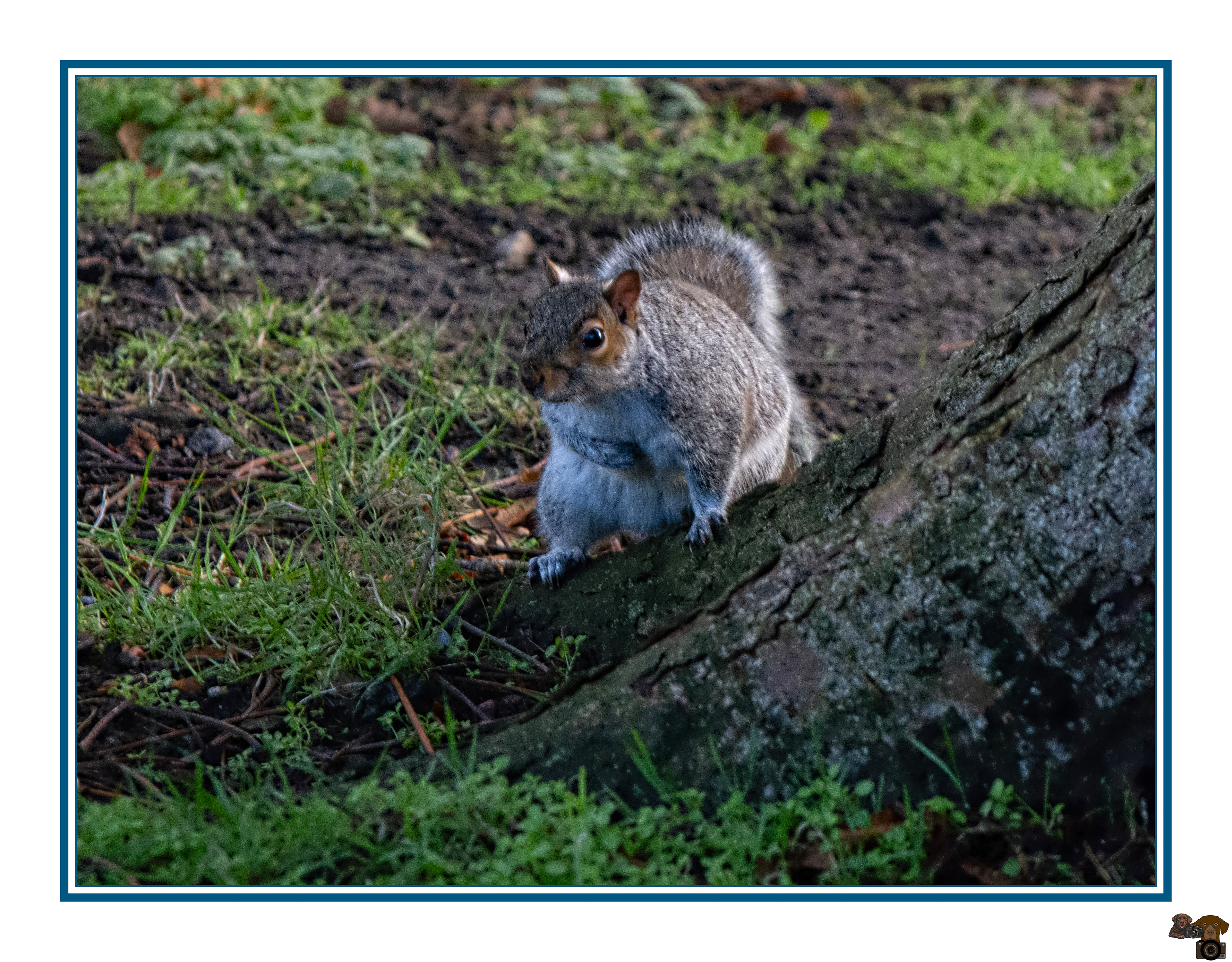 No Nuts here