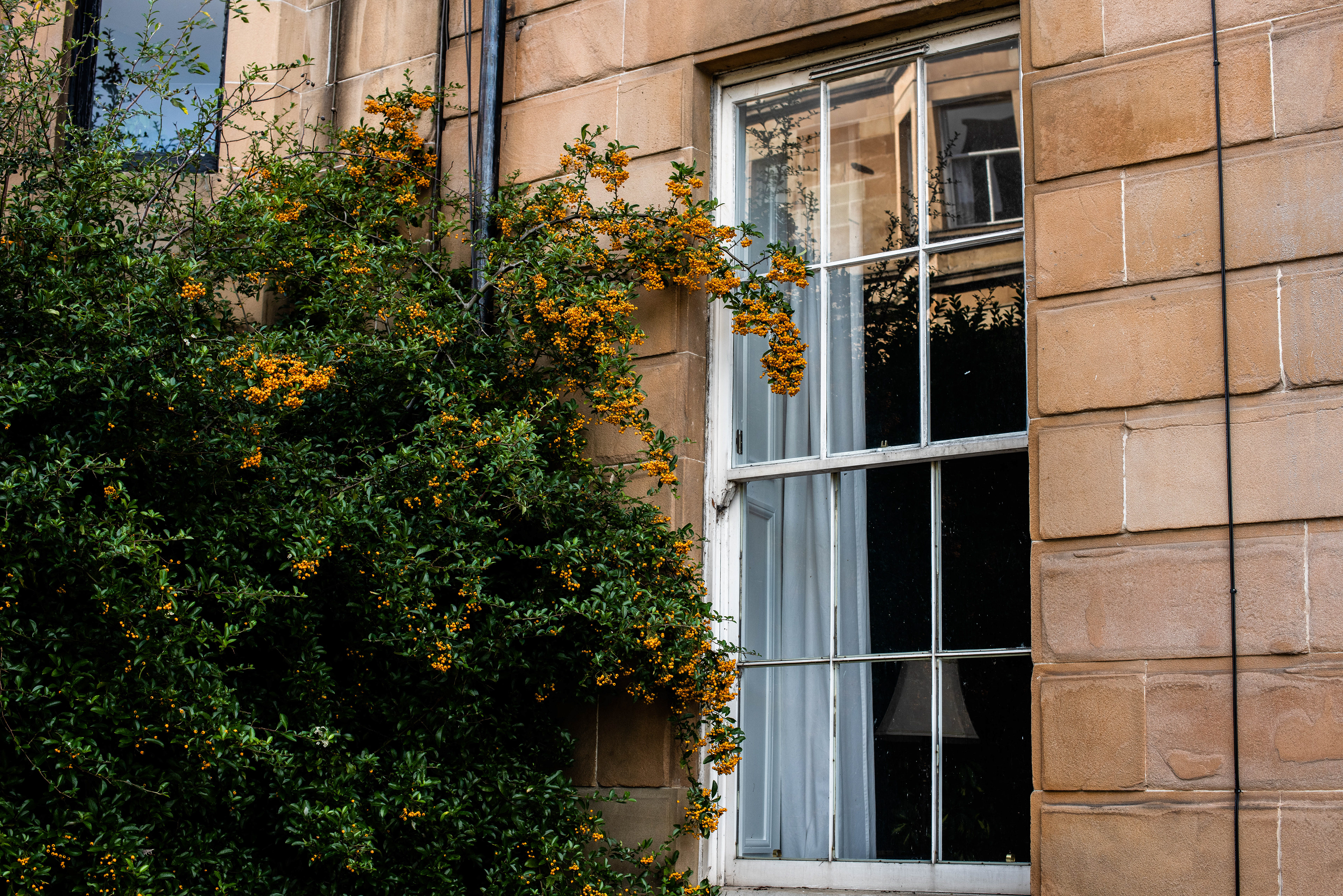 Glasgow West End, August 2020