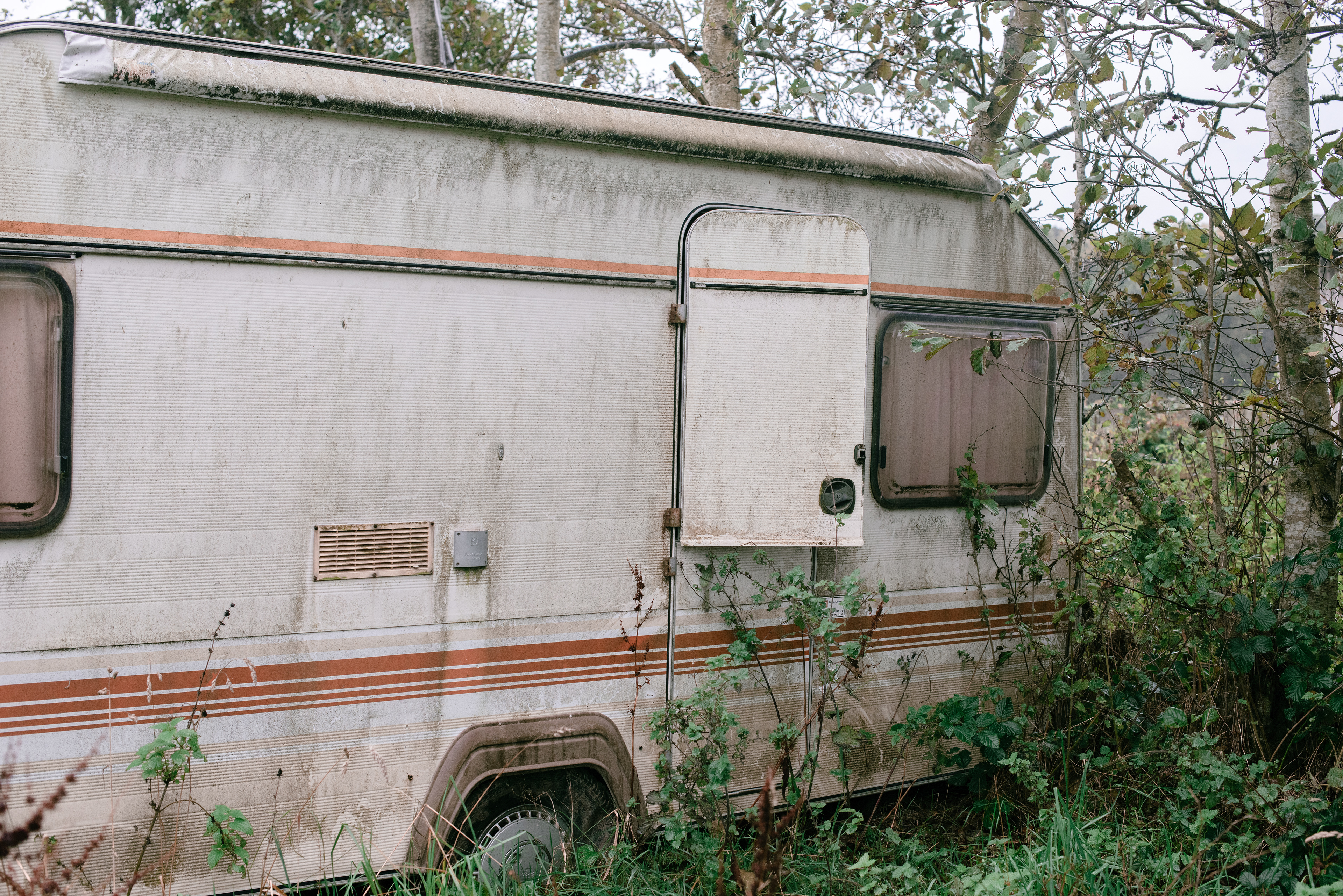 Charleston Fruit Farm, October 2021