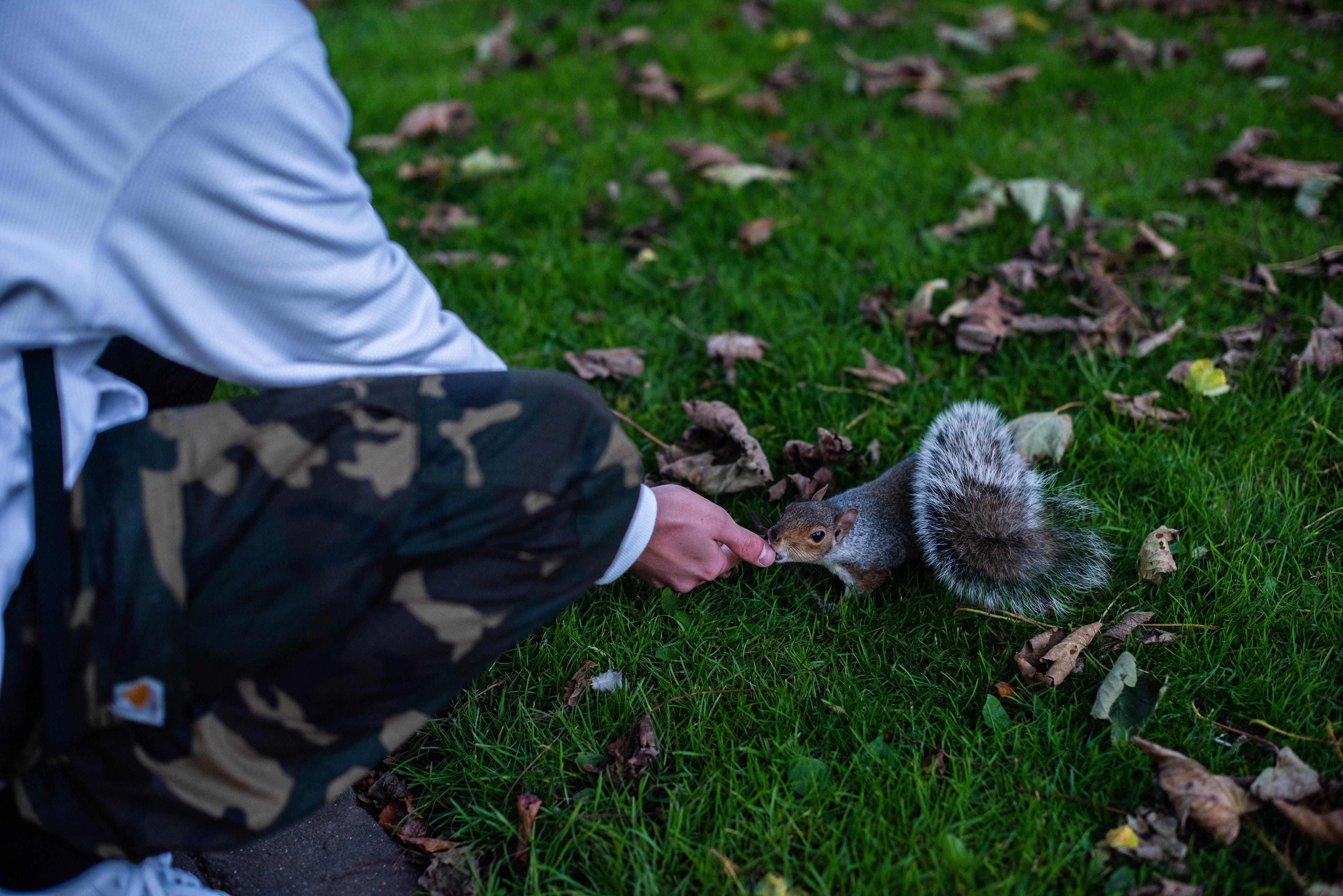 Glasgow Botanical Gardens, October 2020