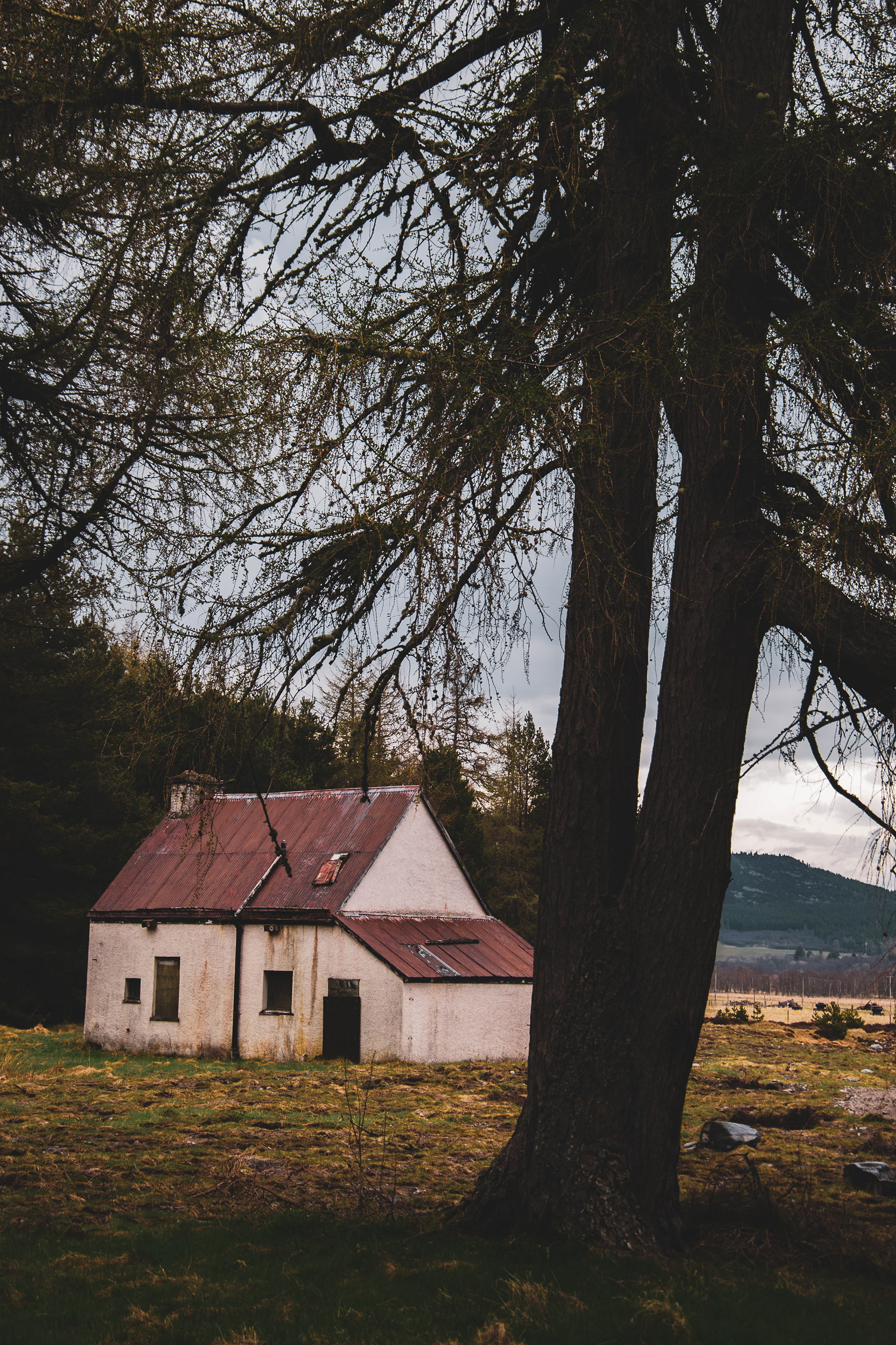 Braemar, Cairngorms, 2020