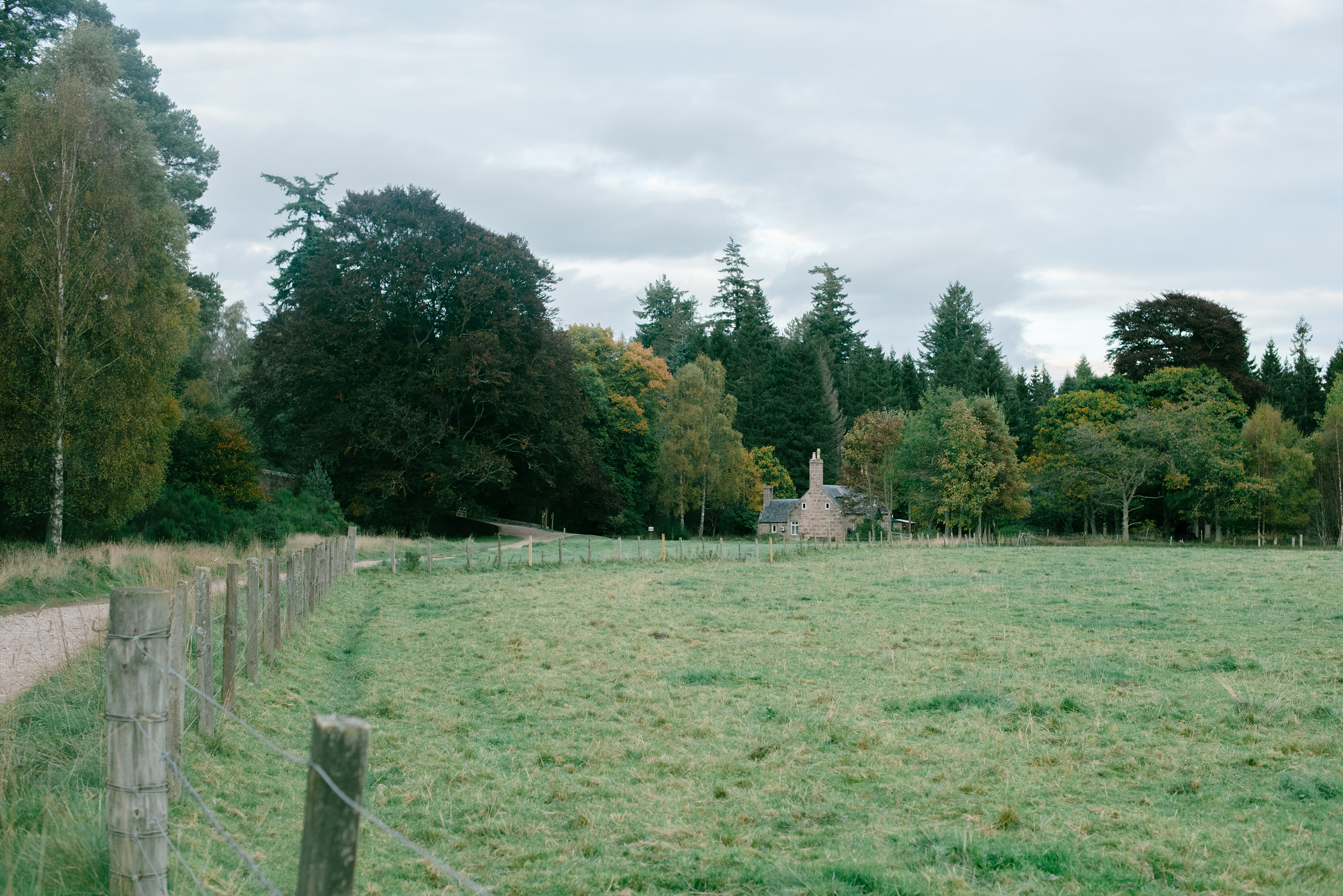 Glen Tanar, October 2021