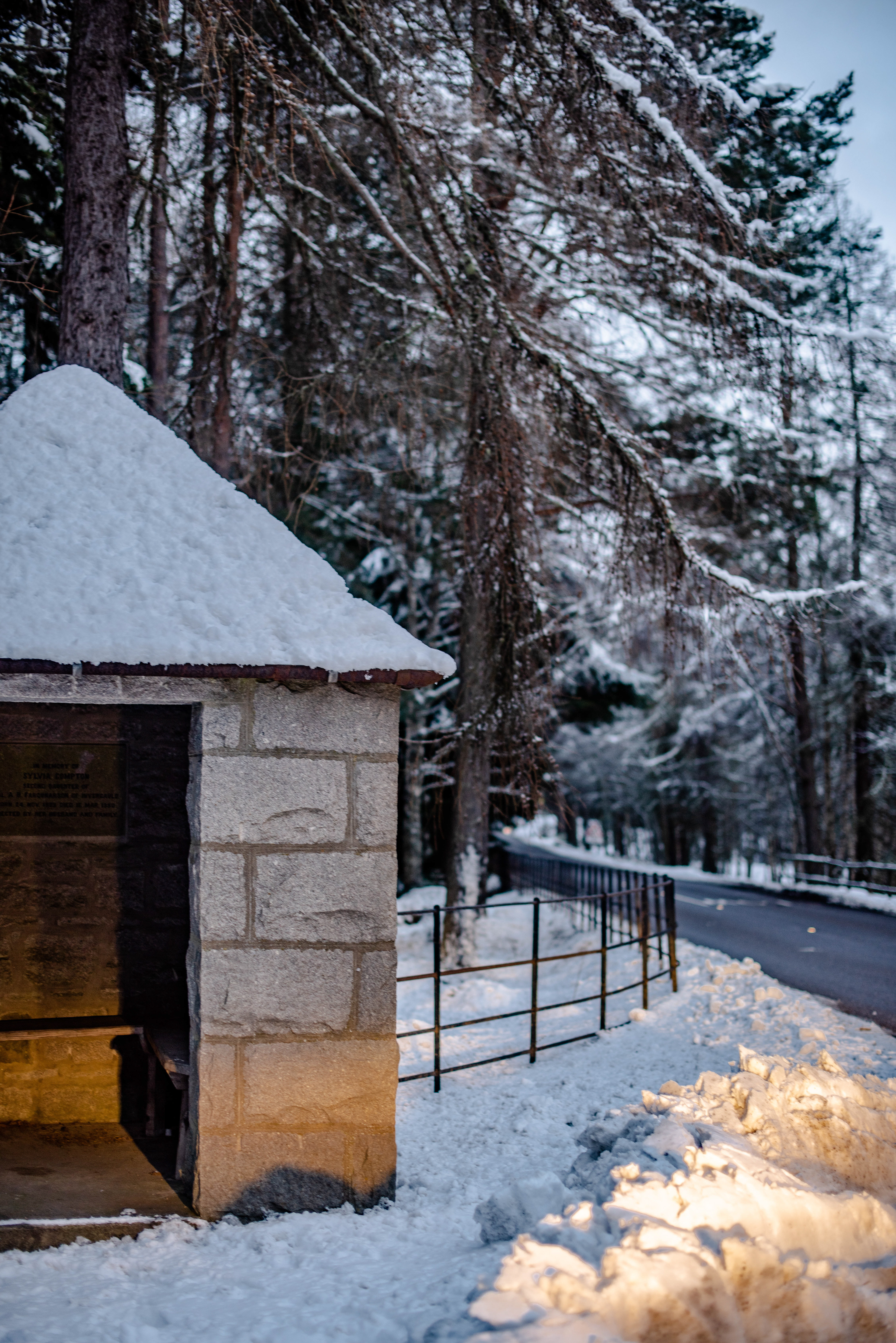 Near Braemar, Cairngorms, February 2021