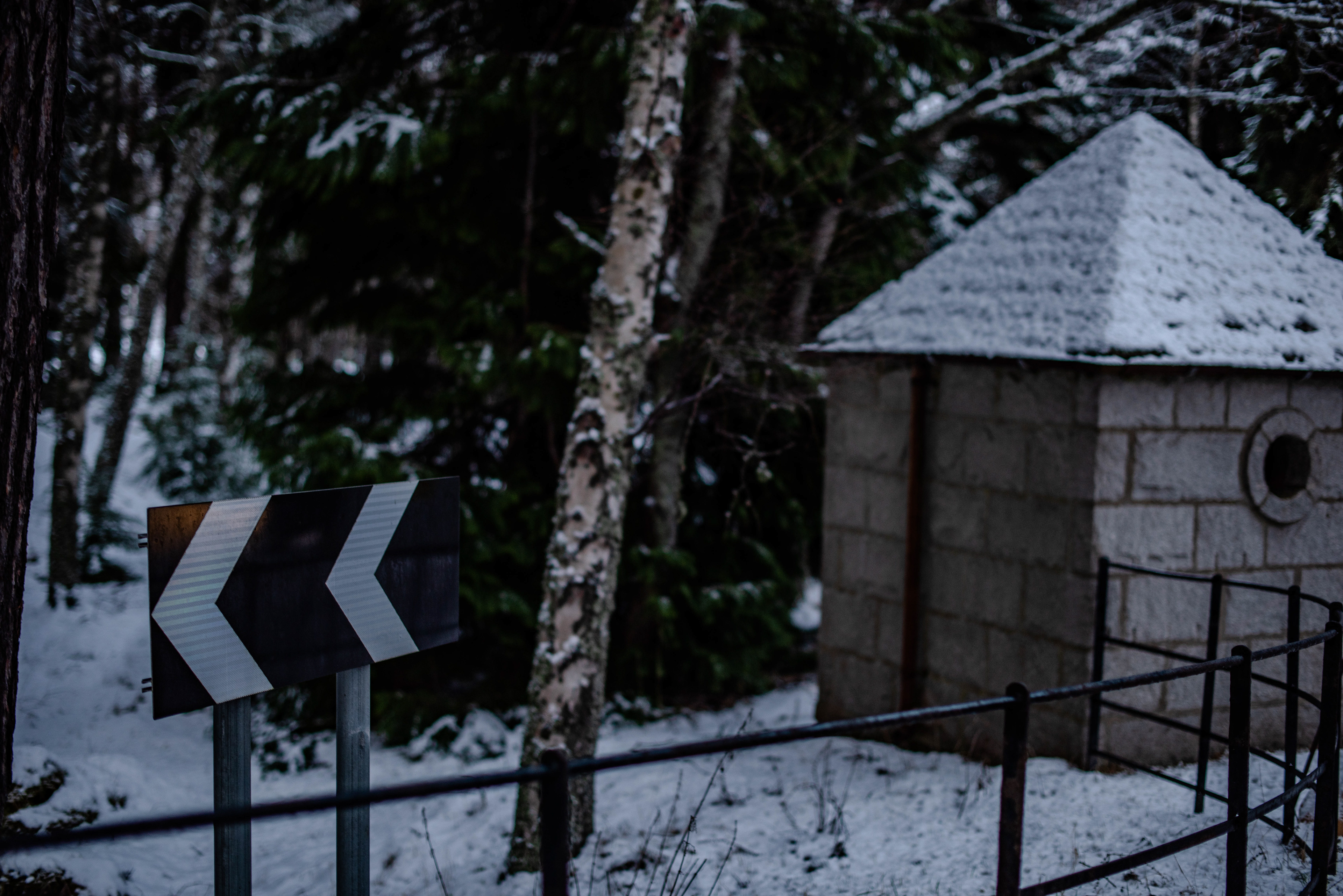 Near Braemar, Cairngorms, February 2021