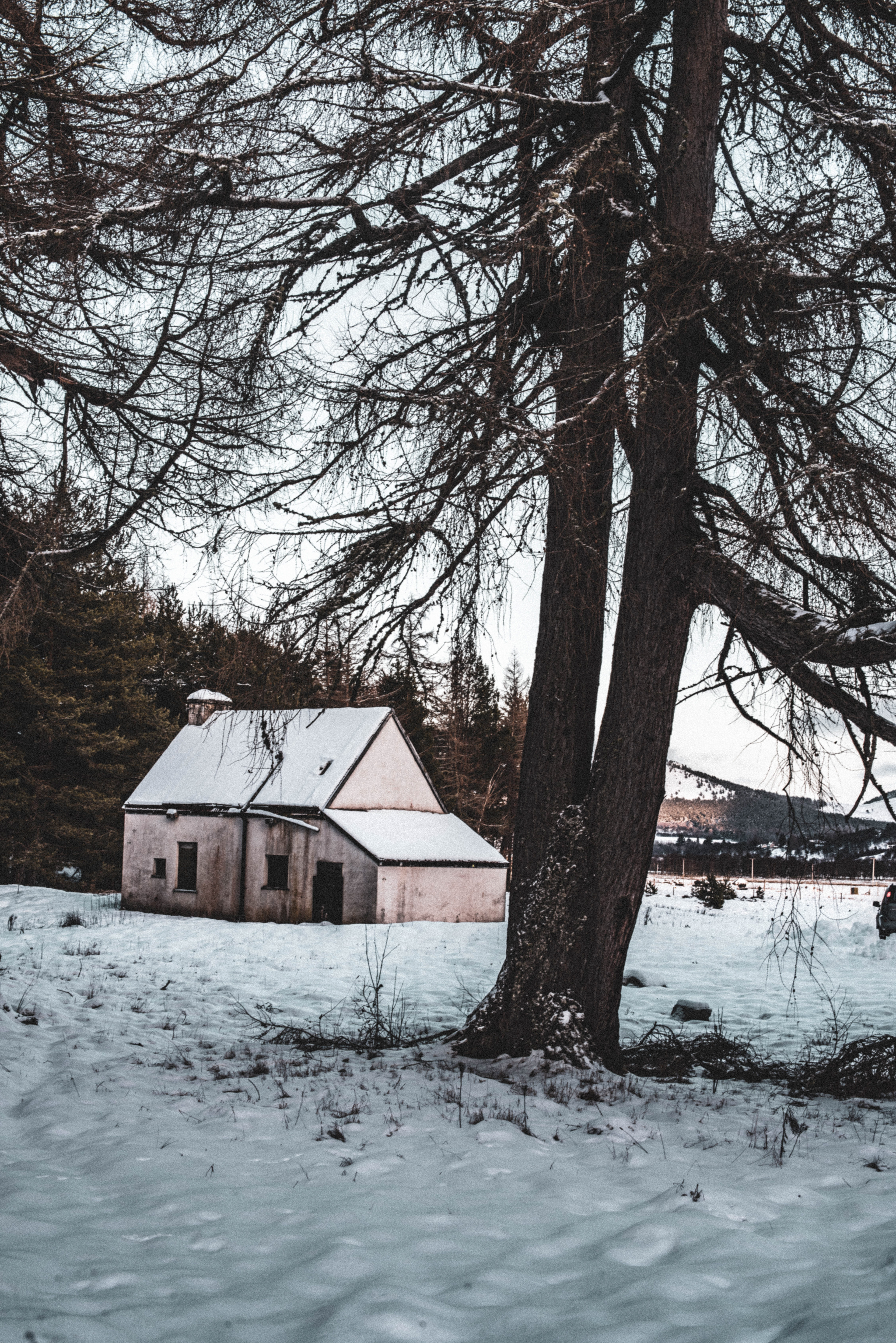 Braemar, Cairngorms, February 2021
