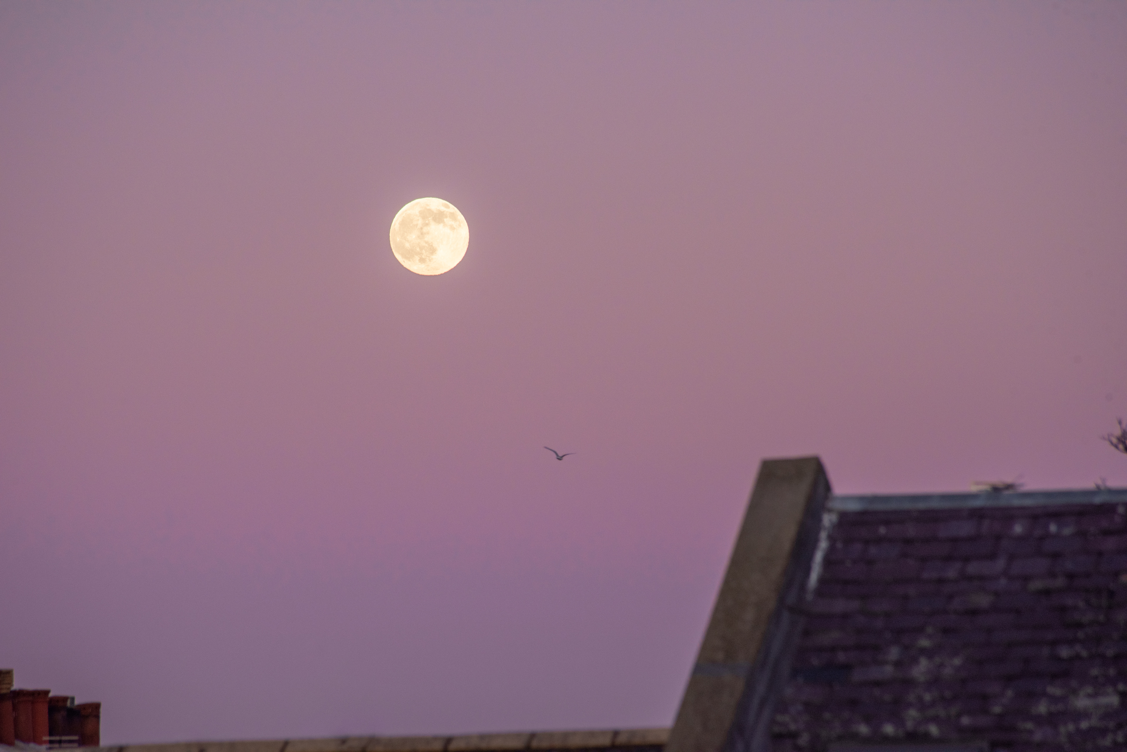 Moon over Aberdeen City, January 2022