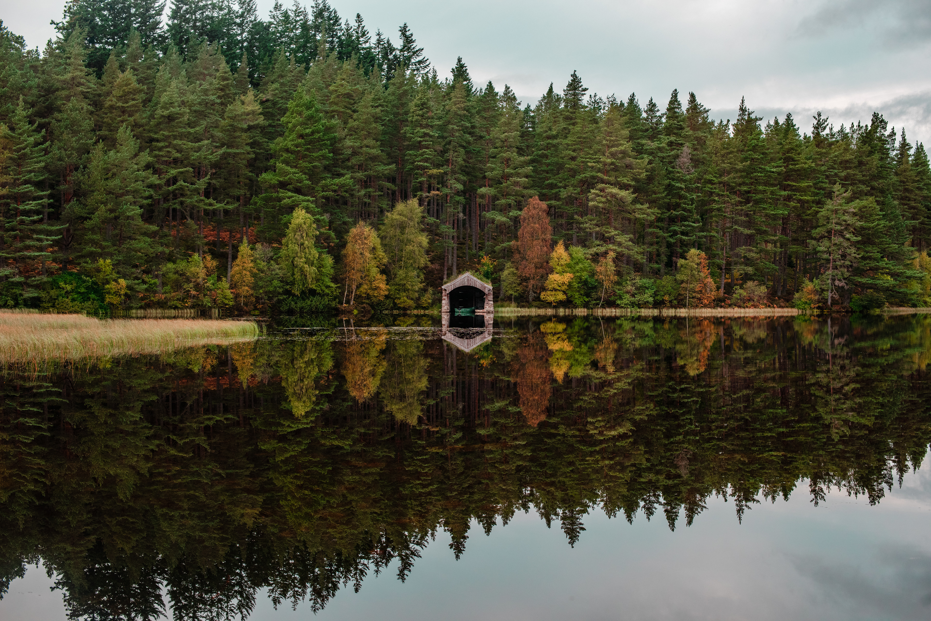 Glen Tanar, October 2021
