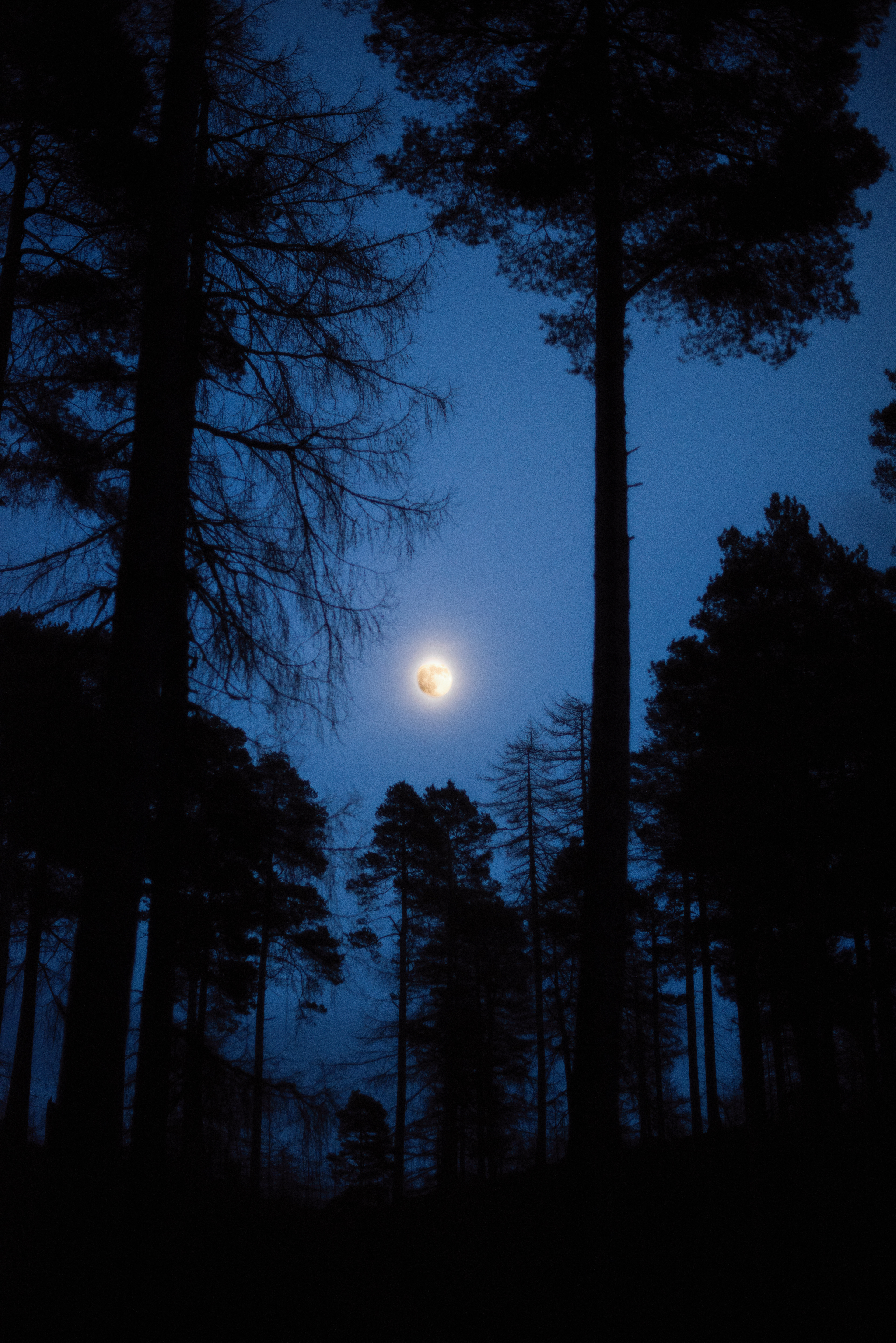 Near Clachnaben, January 2022