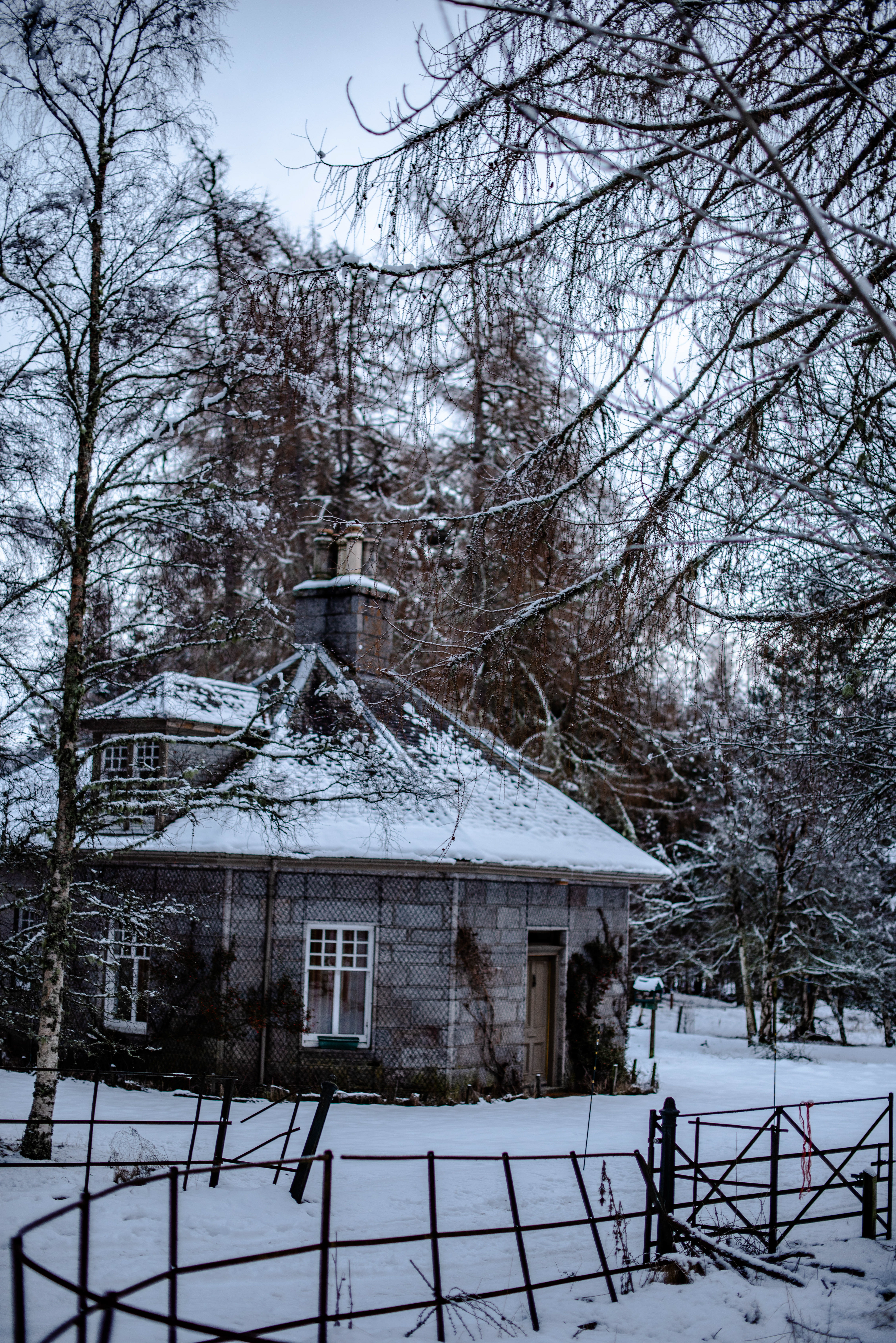 Near Braemar, Cairngorms, February 2021