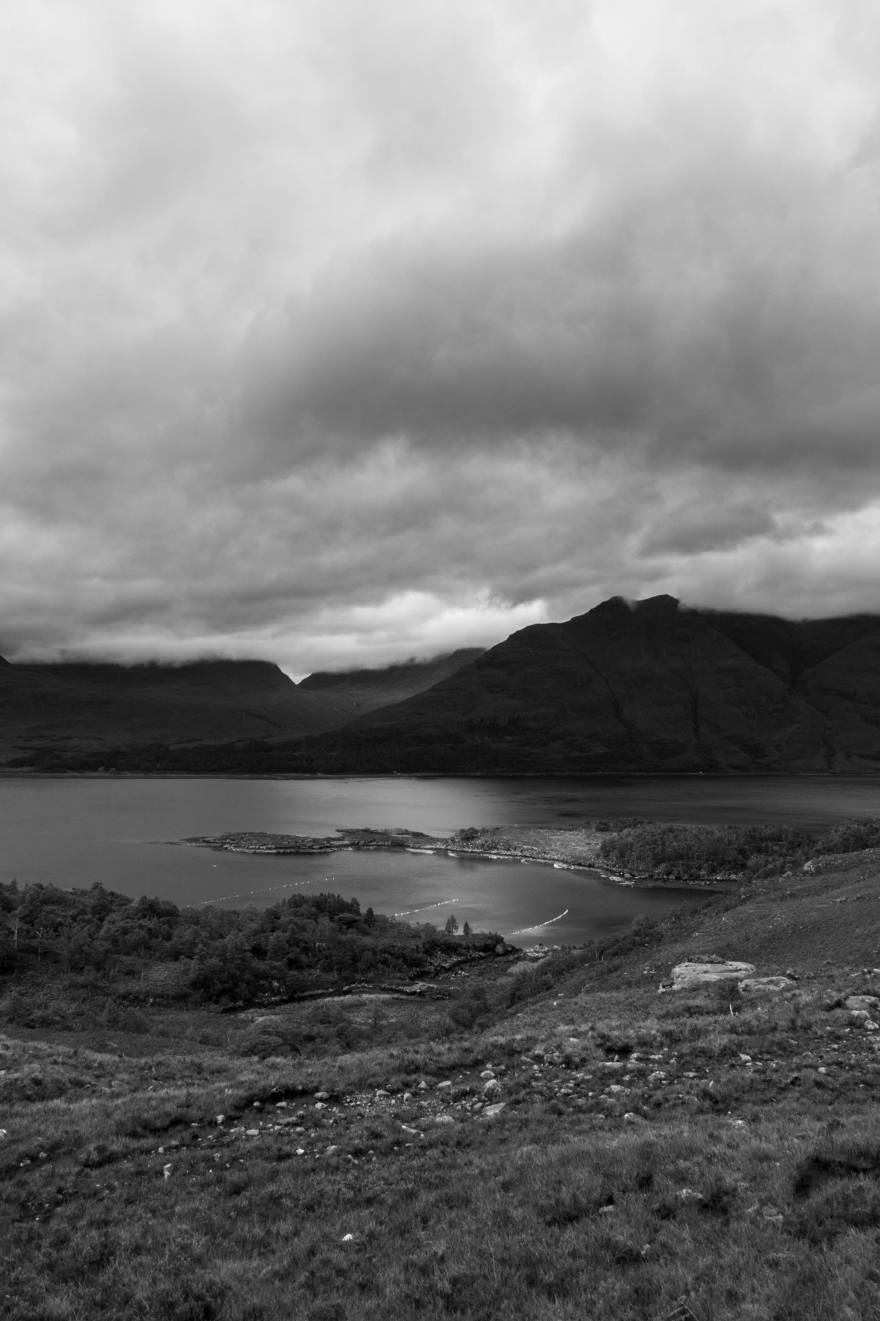 Mirador Lago Torridon, August 2020
