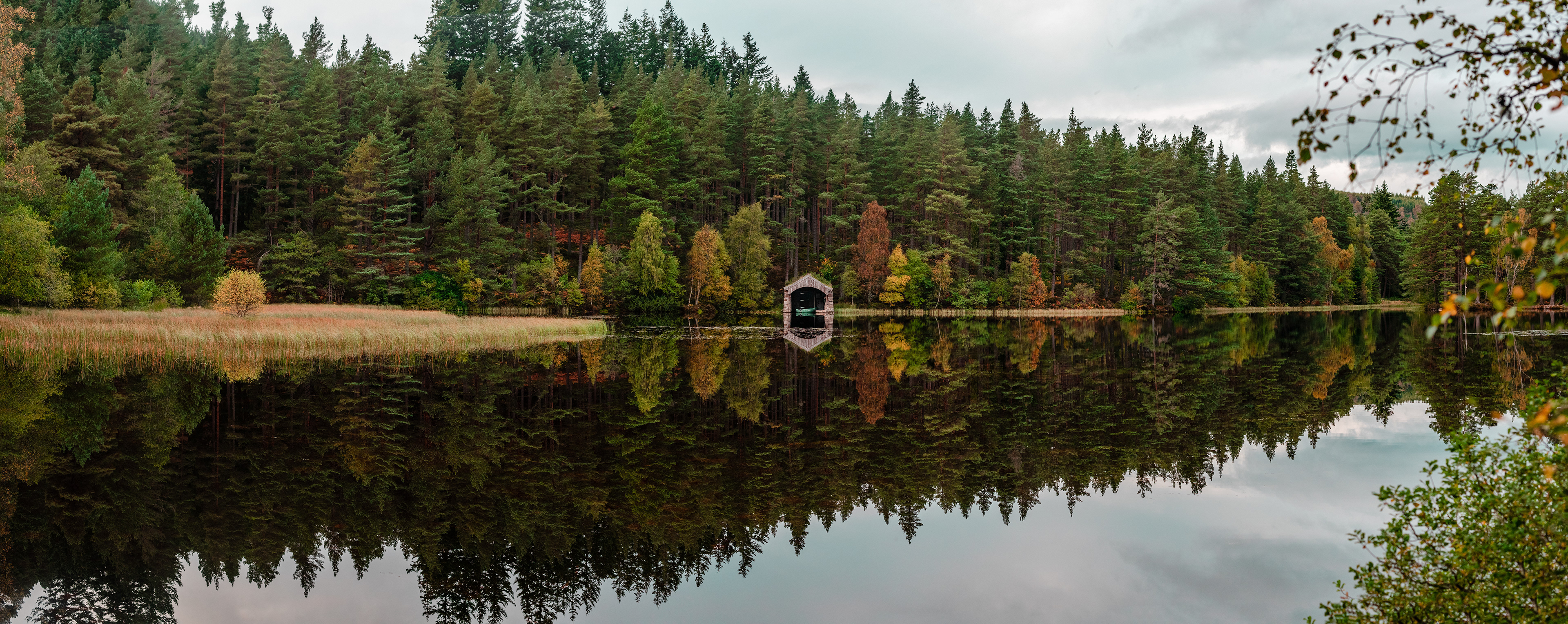 Glen Tanar, October 2021