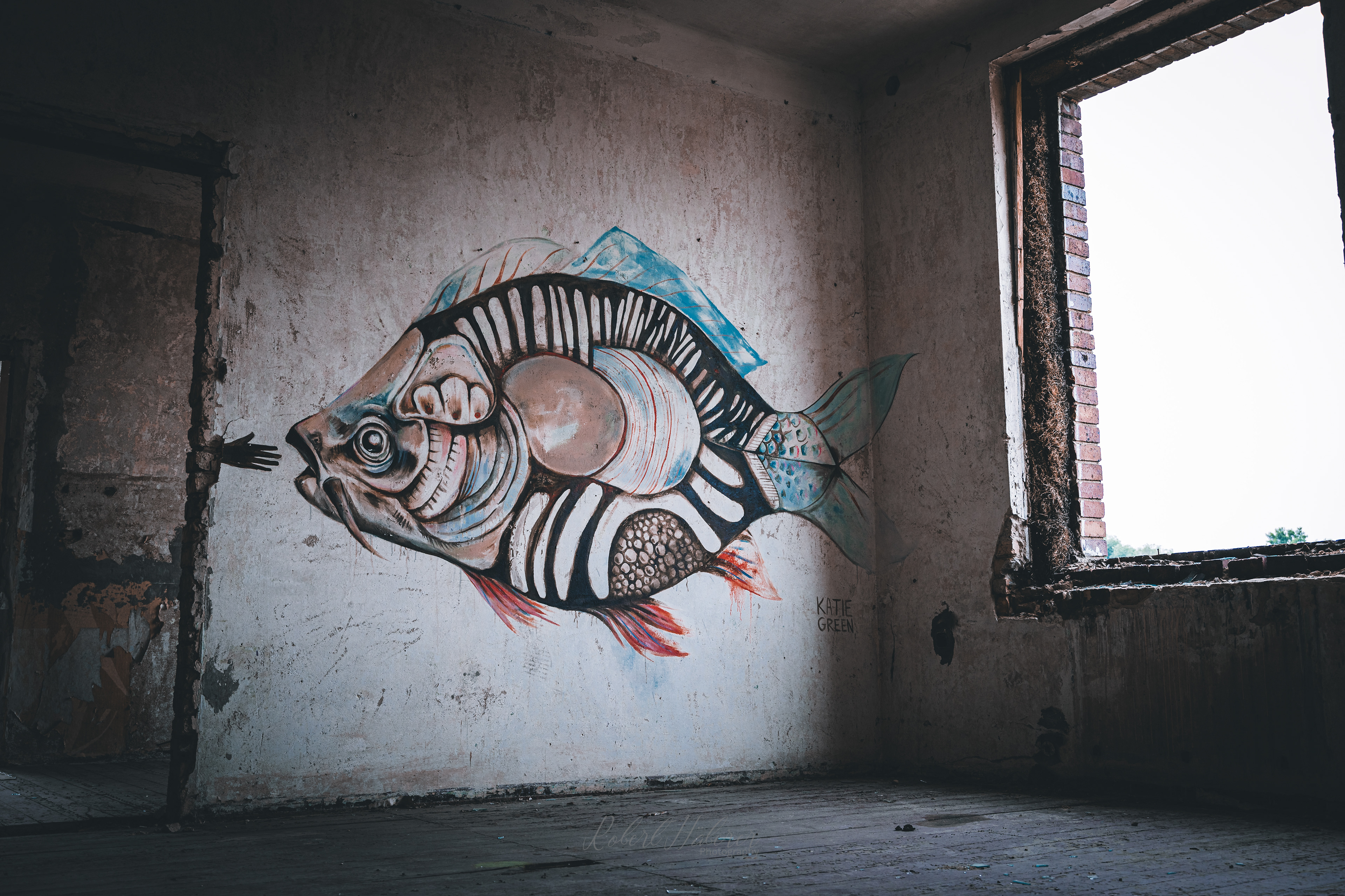 Artist Katie Green
