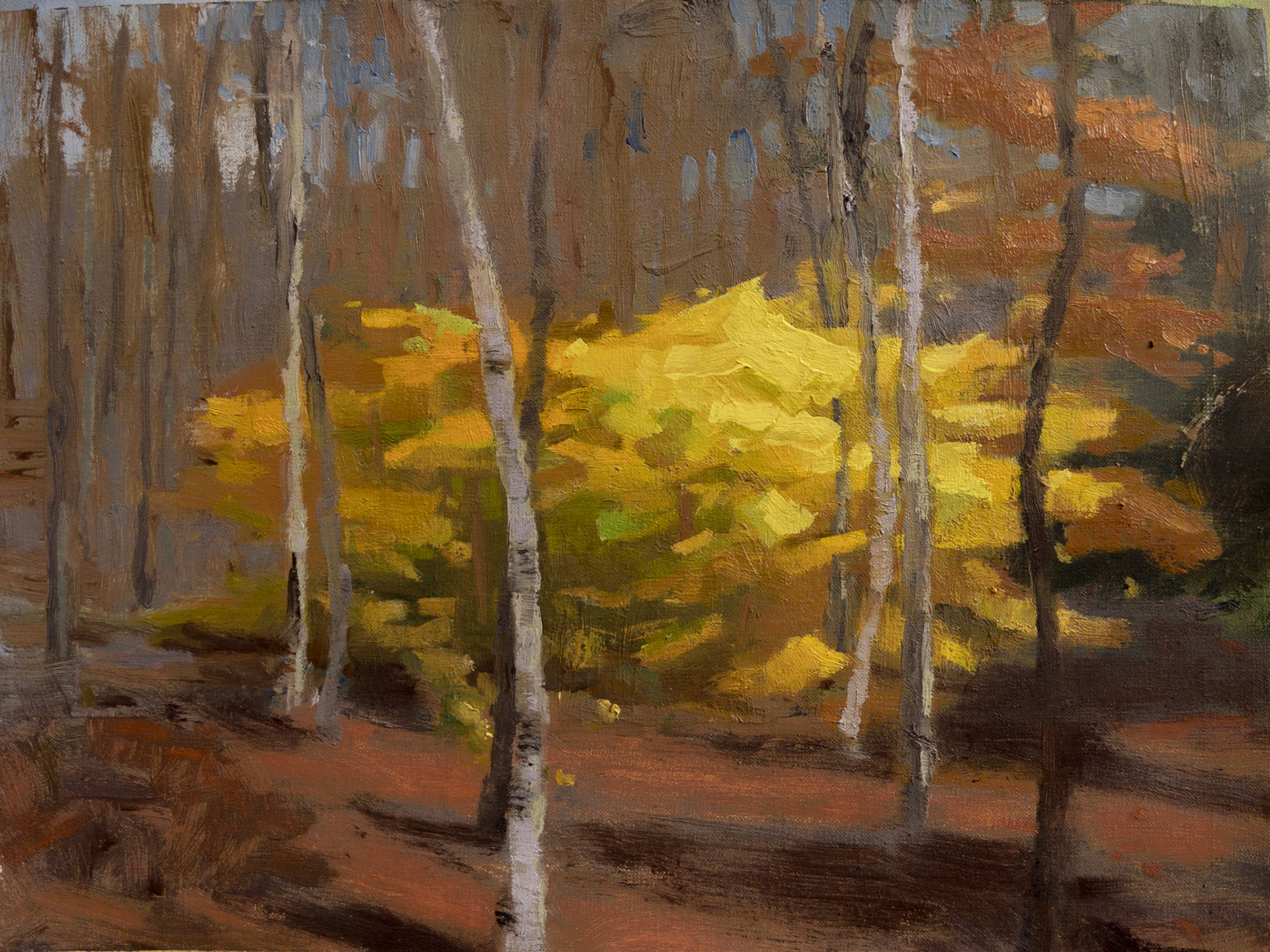 Yellow Grove, 2022, oil on linen, 12x9"